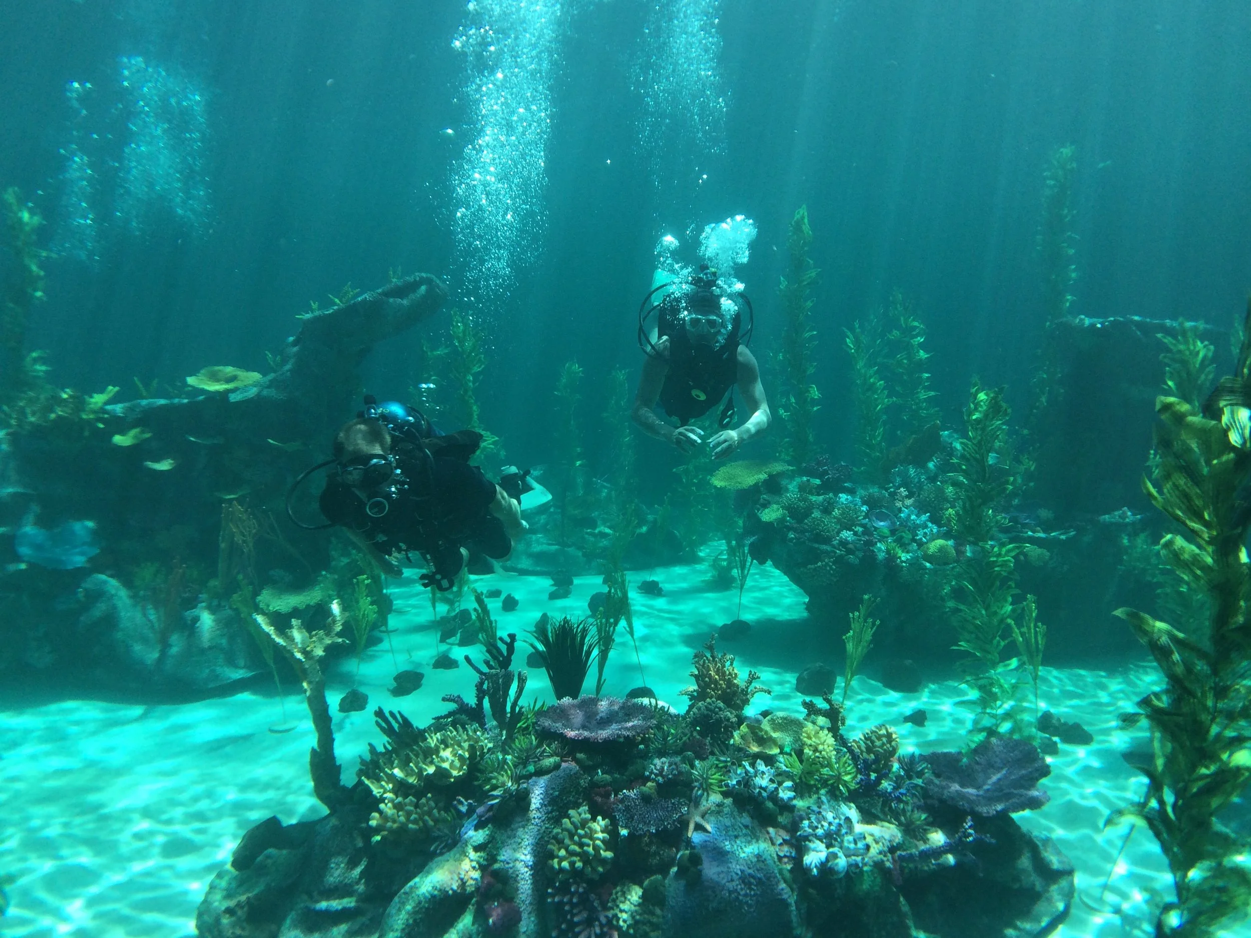 IMG_0639.JPG