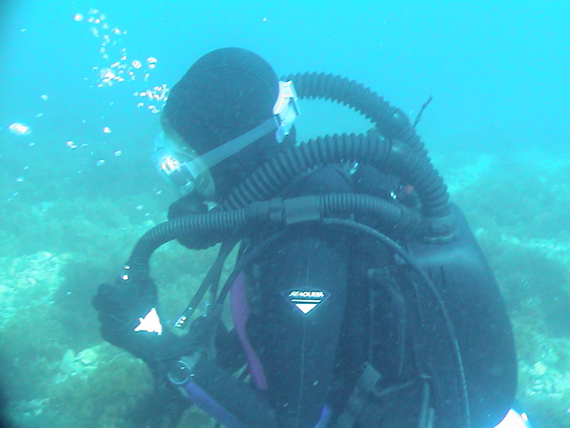 Scuba Training (11).jpg