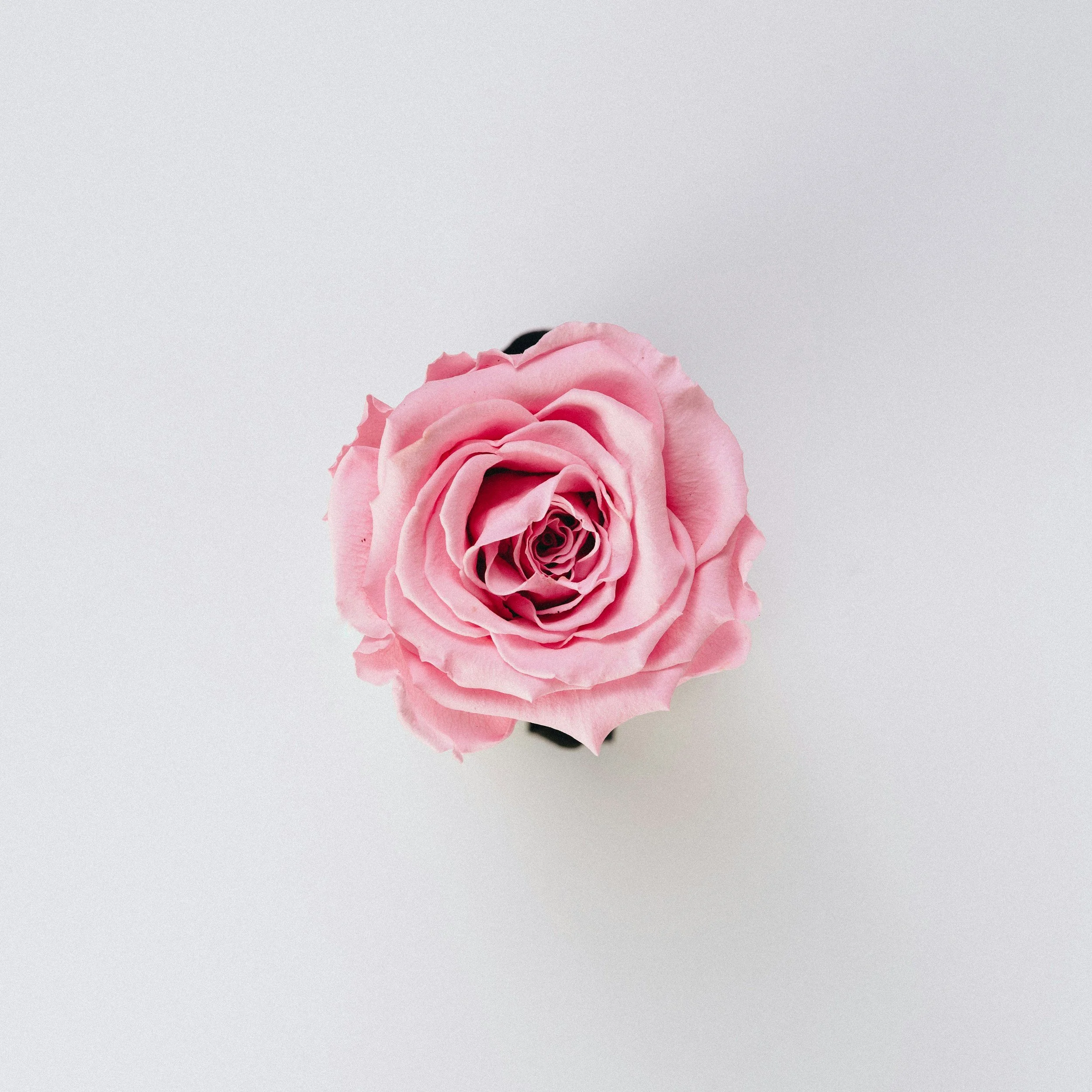 unsplash-image-x68FaxTyx90.jpg