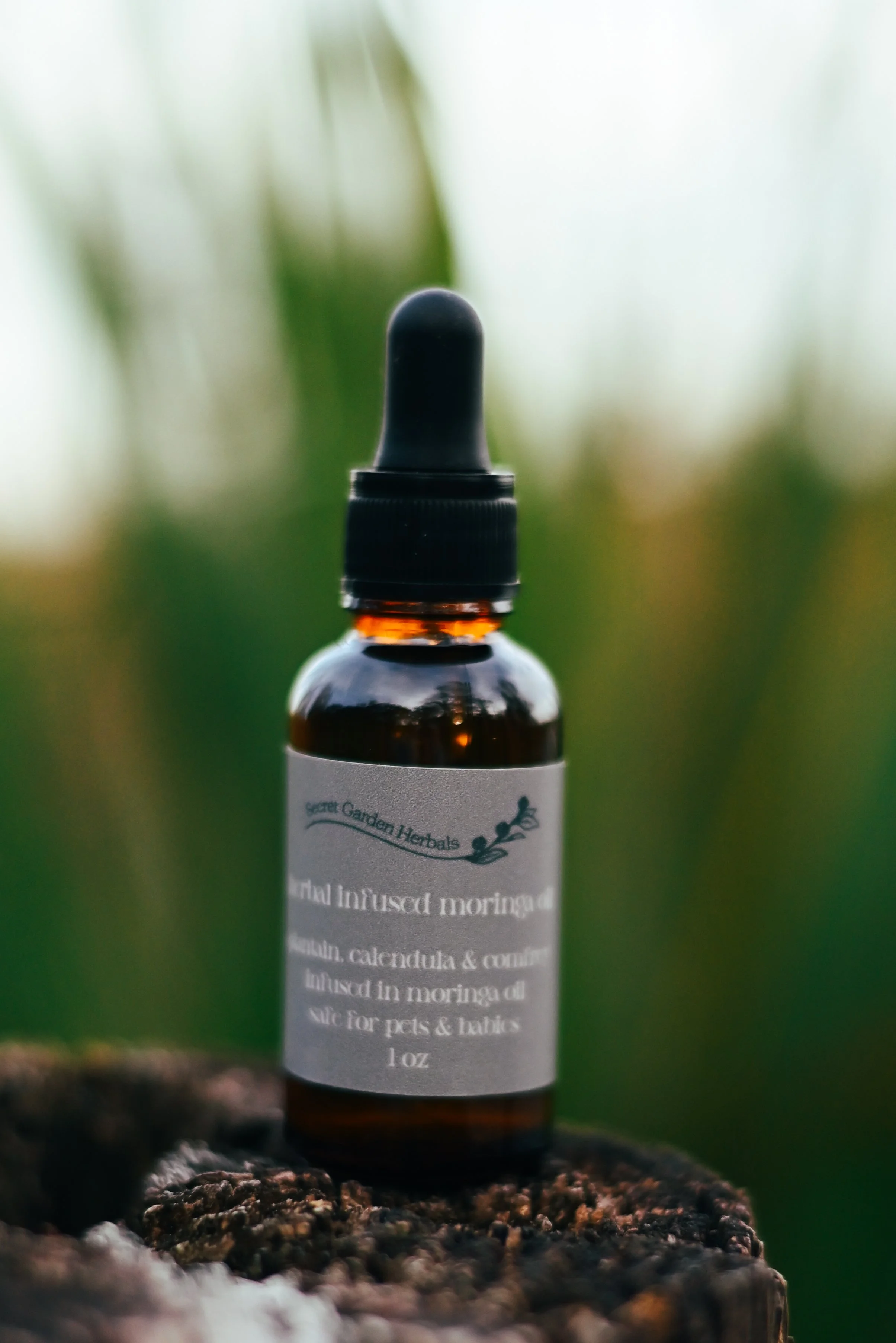 Herbal Infused Moringa Oil