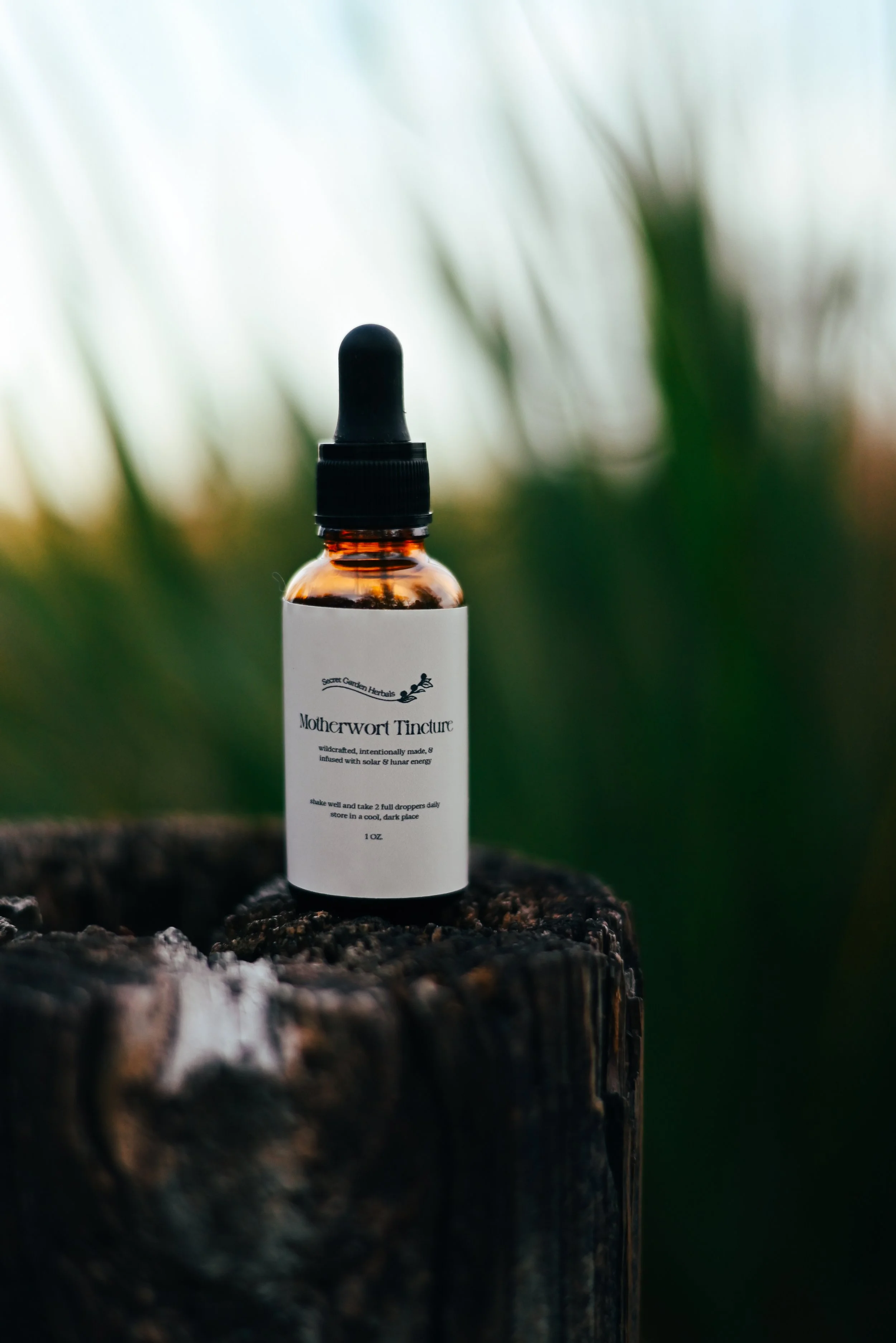 Motherwort Tincture | Small Batch Fresh Herb Extract - 1 fl oz