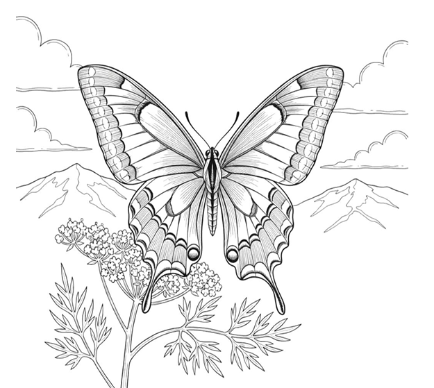 Skjermbilde 2026-02-16 211938.png