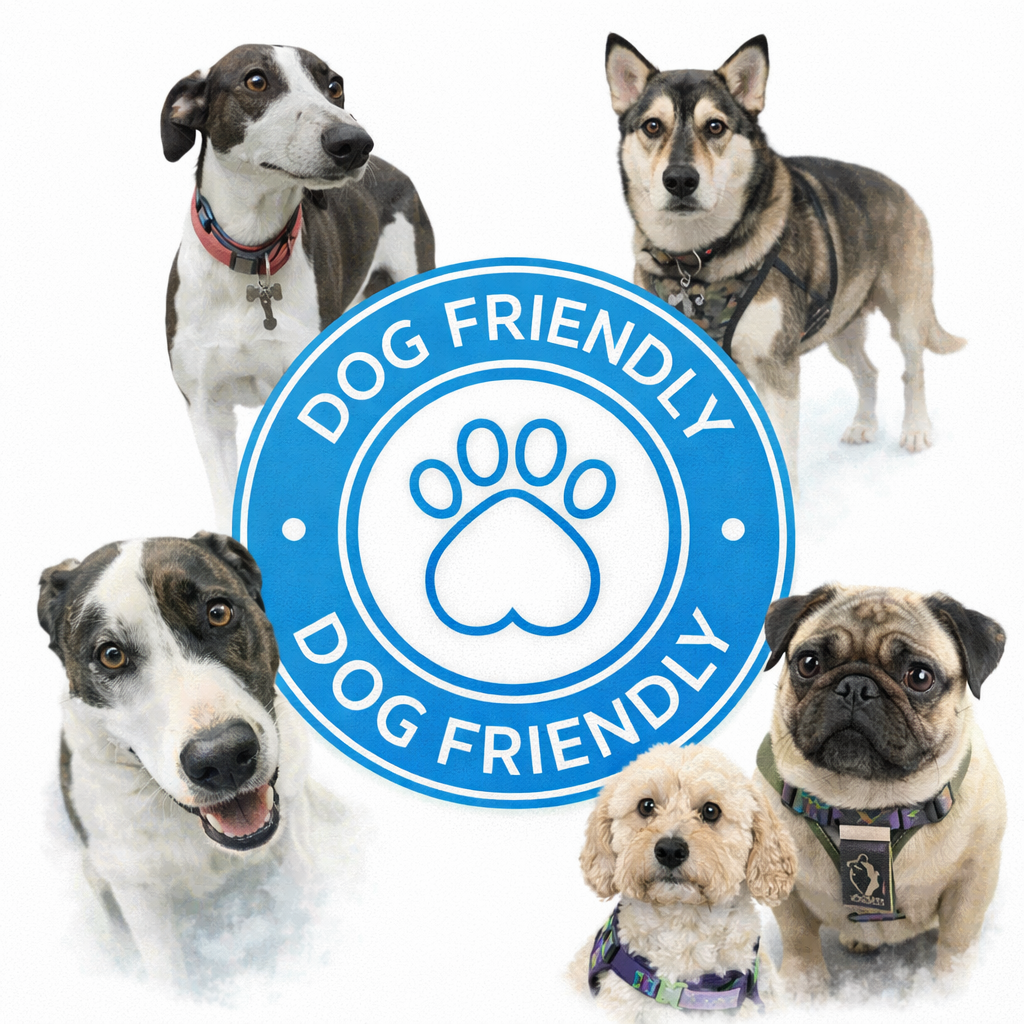 Five dogs of various breeds around a blue circular badge with a paw print in the center and the text "Dog Friendly" written twice around the circle.
