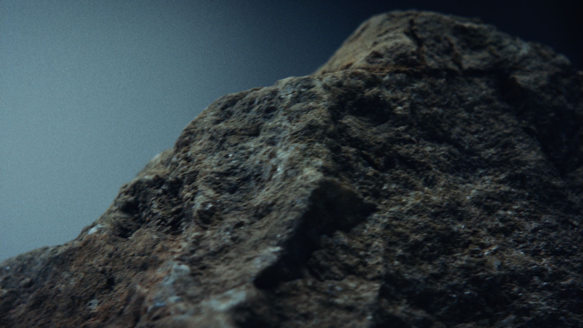 TNF_Preview (22).png