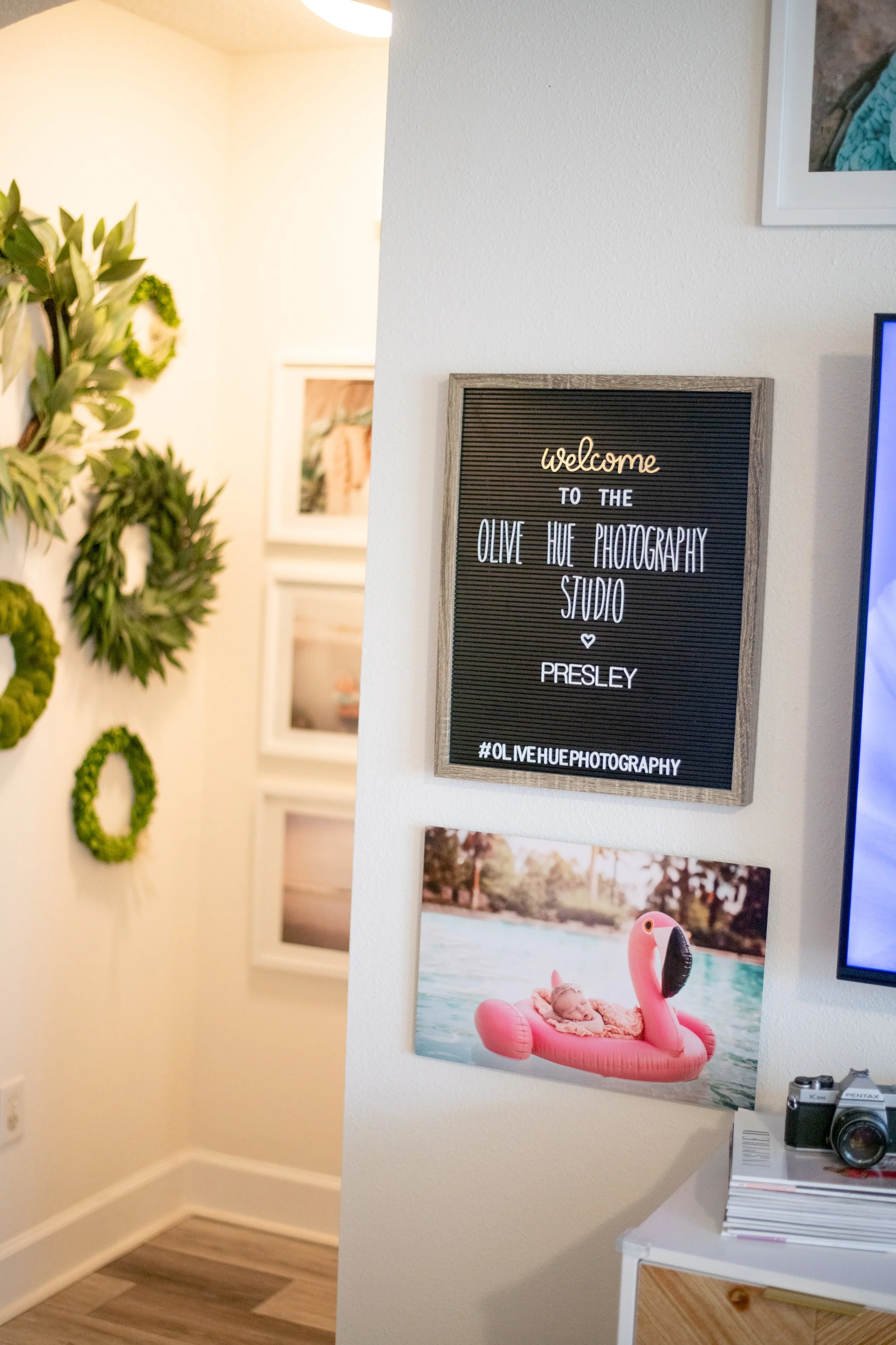 Decorated wall in photography studio with welcome sign, framed photos, tropical plants, and a picture of a dog on a pink flamingo pool float.