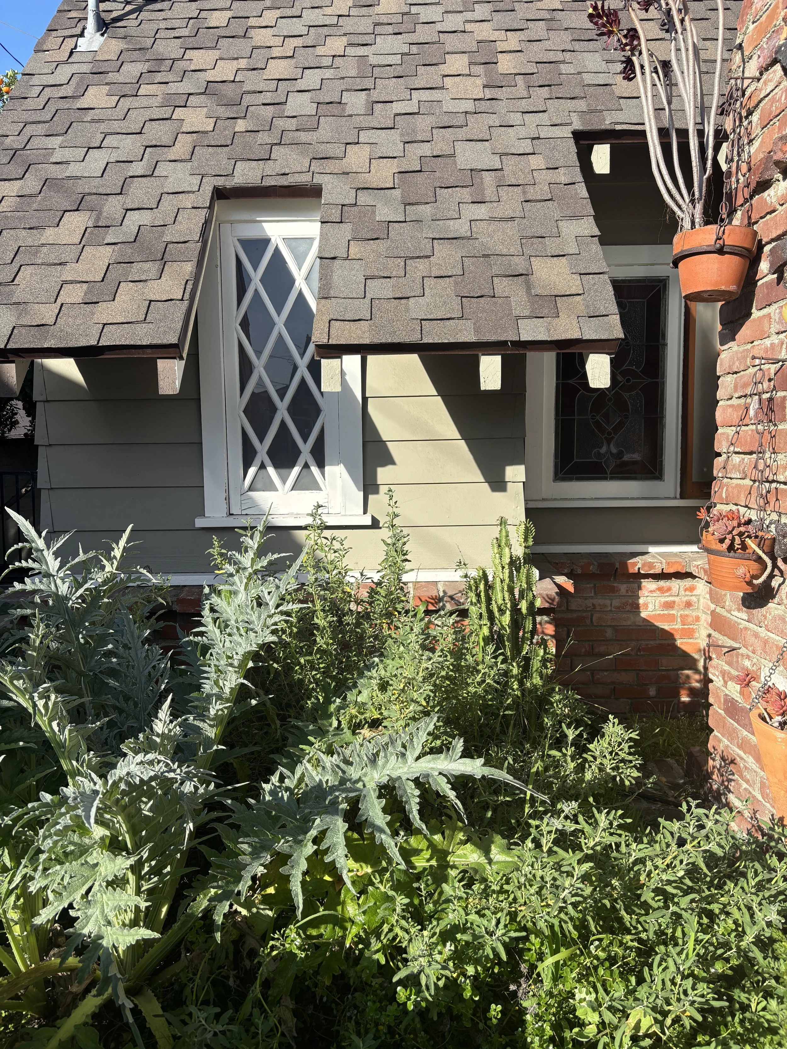 Photo Jan 30 2026, 8 57 48 AM.jpg