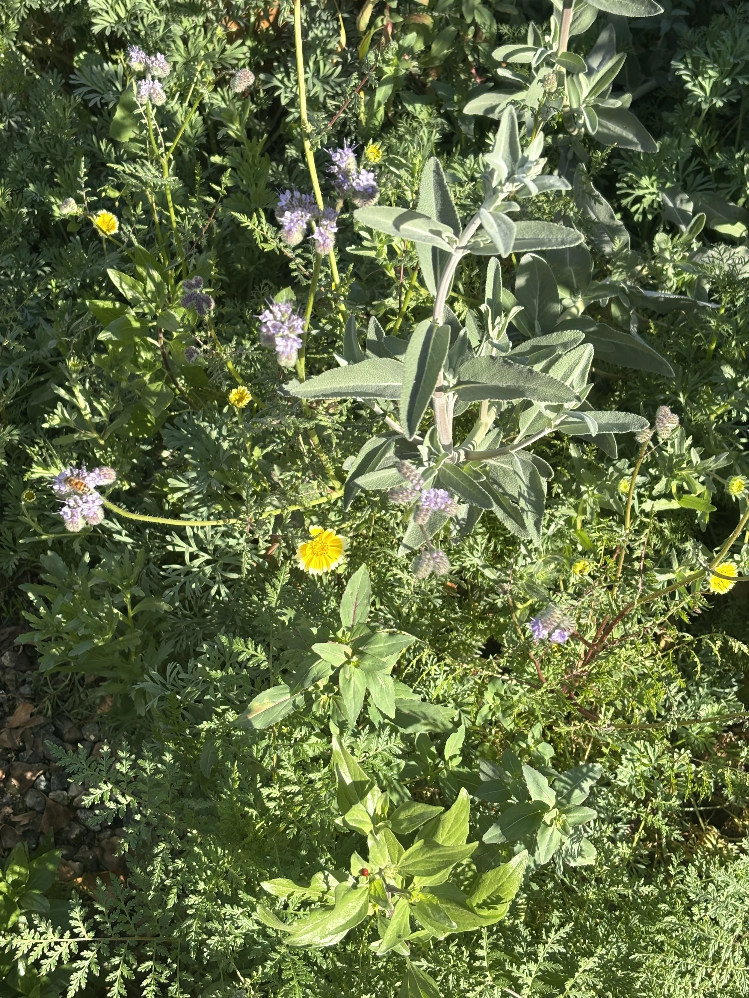 Photo Jan 30 2026, 8 49 59 AM.jpg