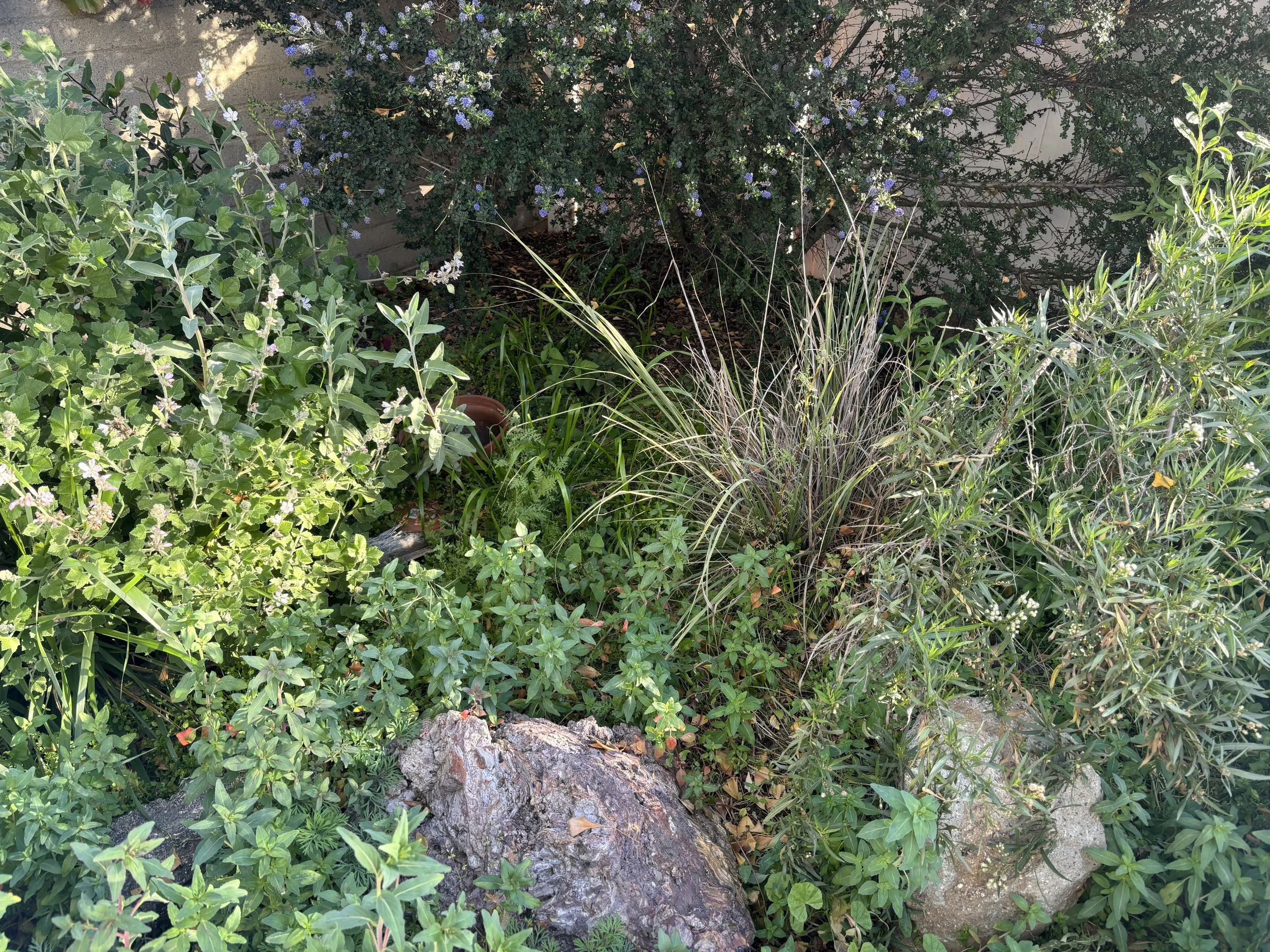 Photo Jan 30 2026, 8 56 38 AM.jpg