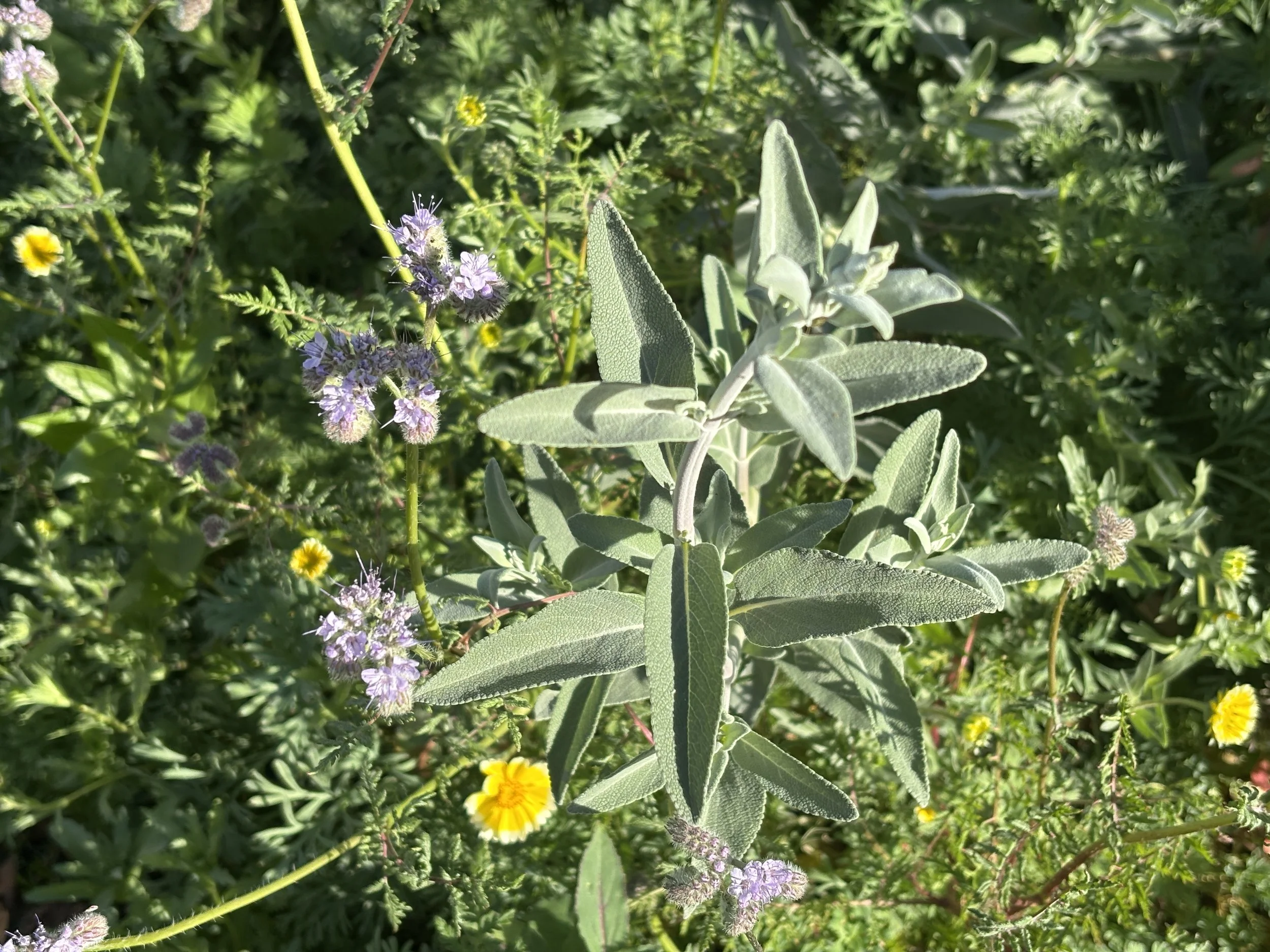 Photo Jan 30 2026, 8 56 15 AM.jpg