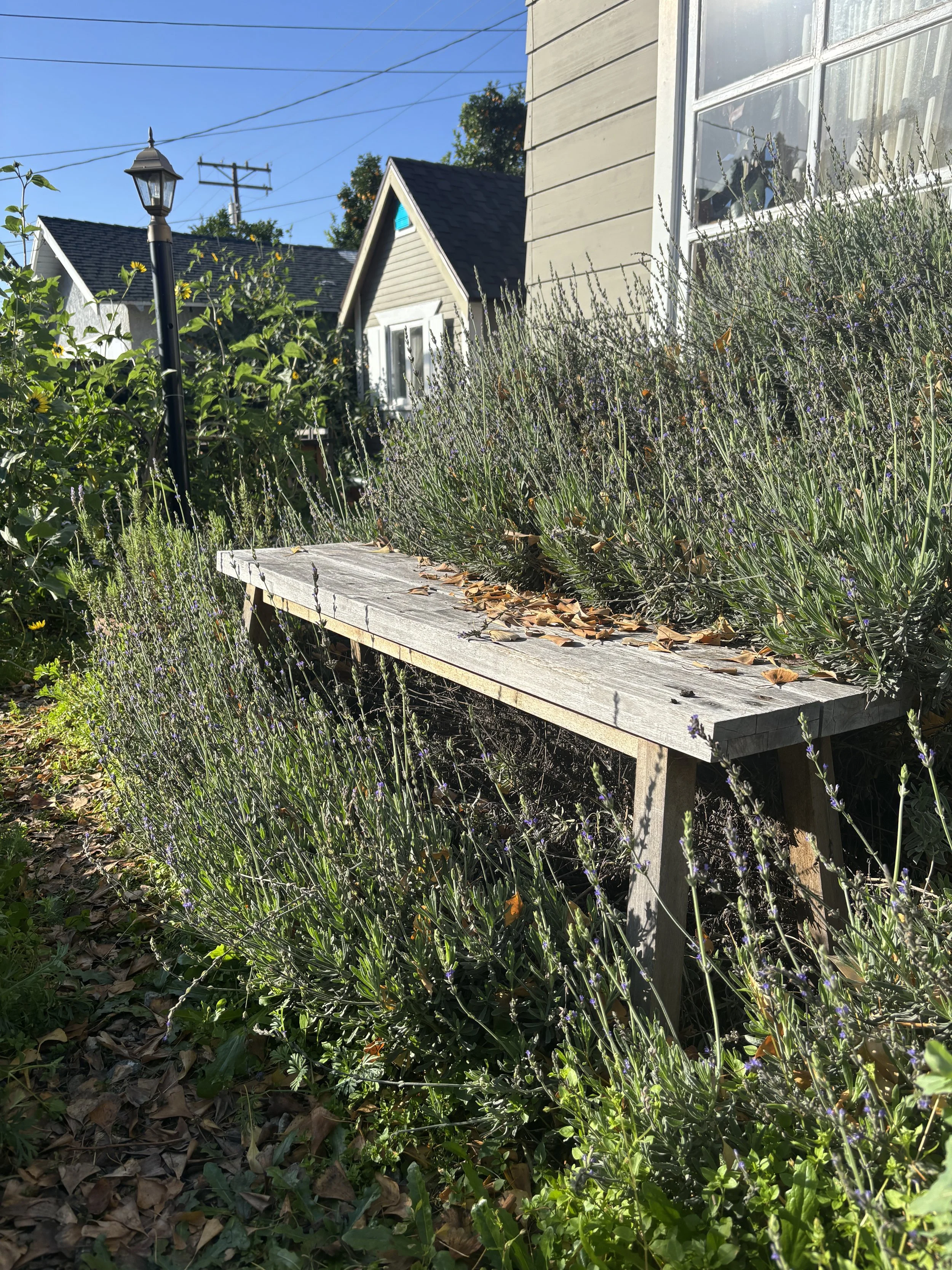 Photo Jan 30 2026, 8 57 10 AM.jpg