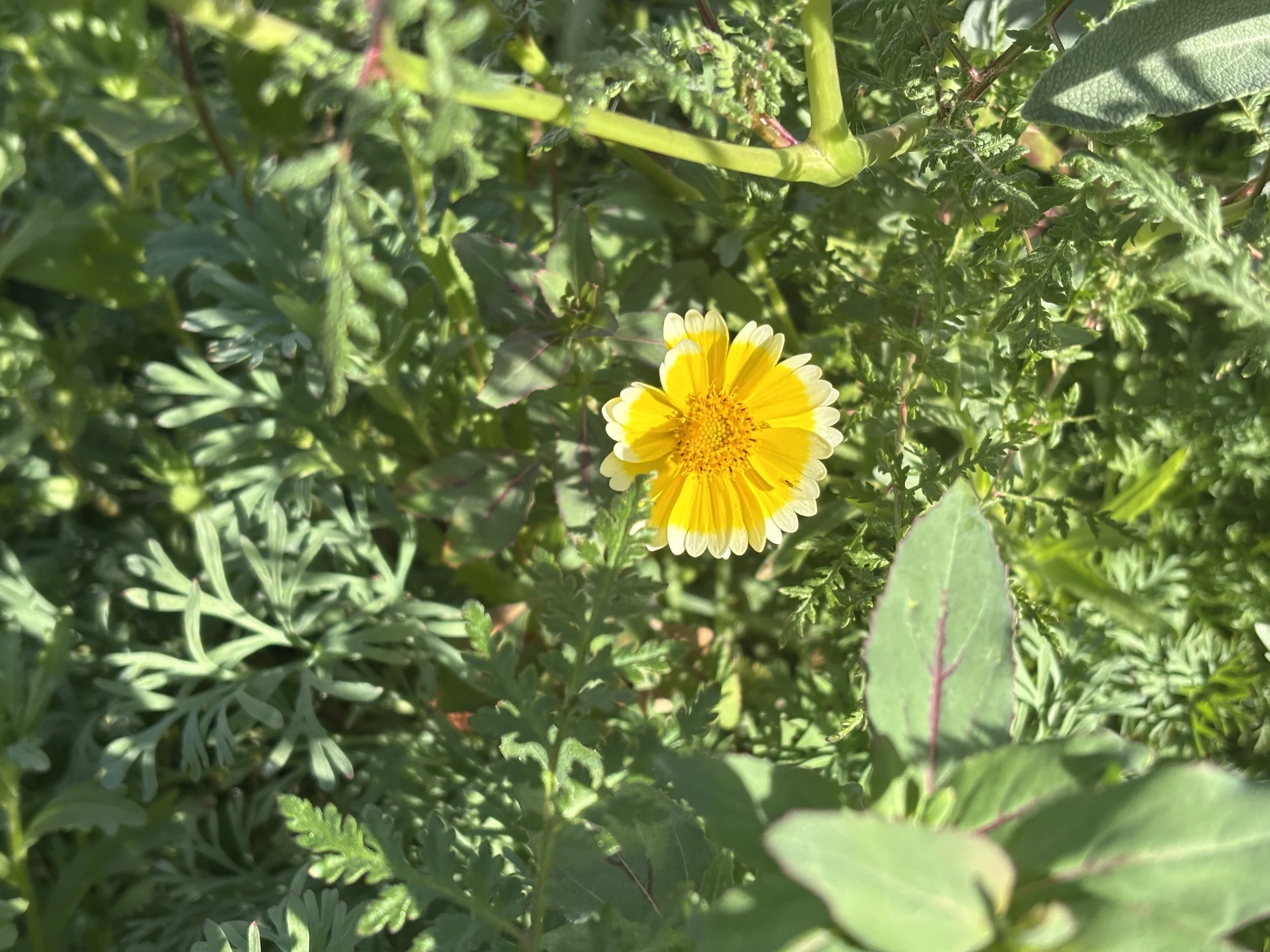 Photo Jan 30 2026, 8 56 02 AM.jpg