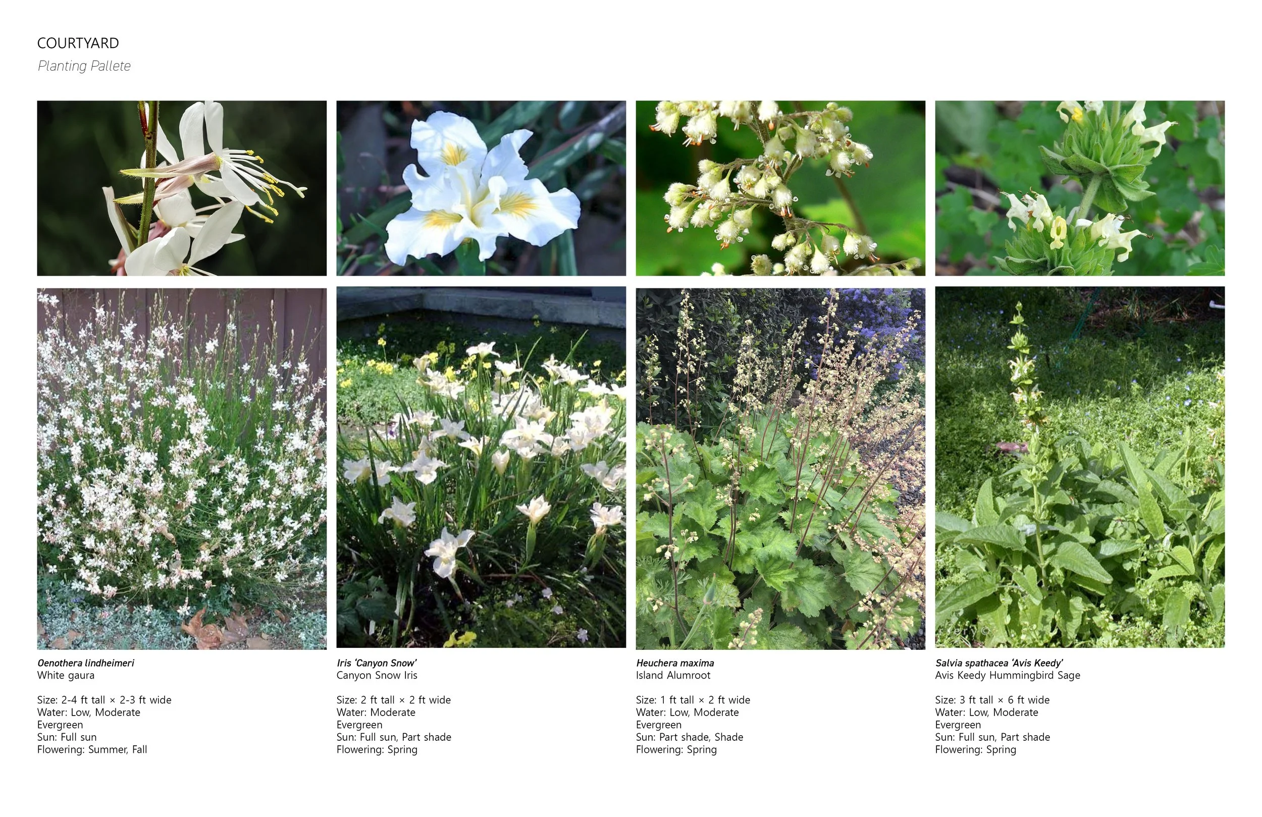 planting pallete.jpg