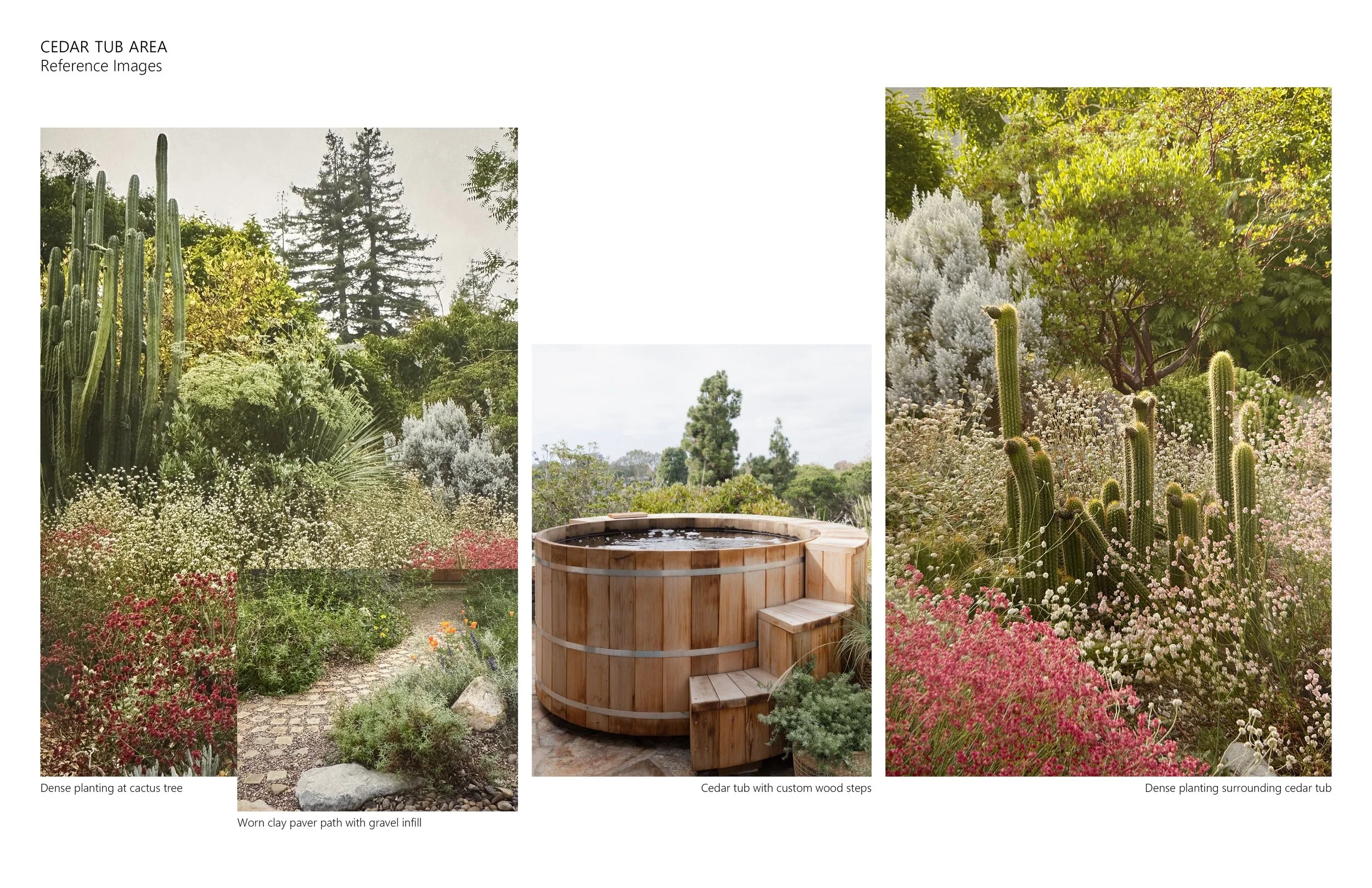 Reference Images.jpg