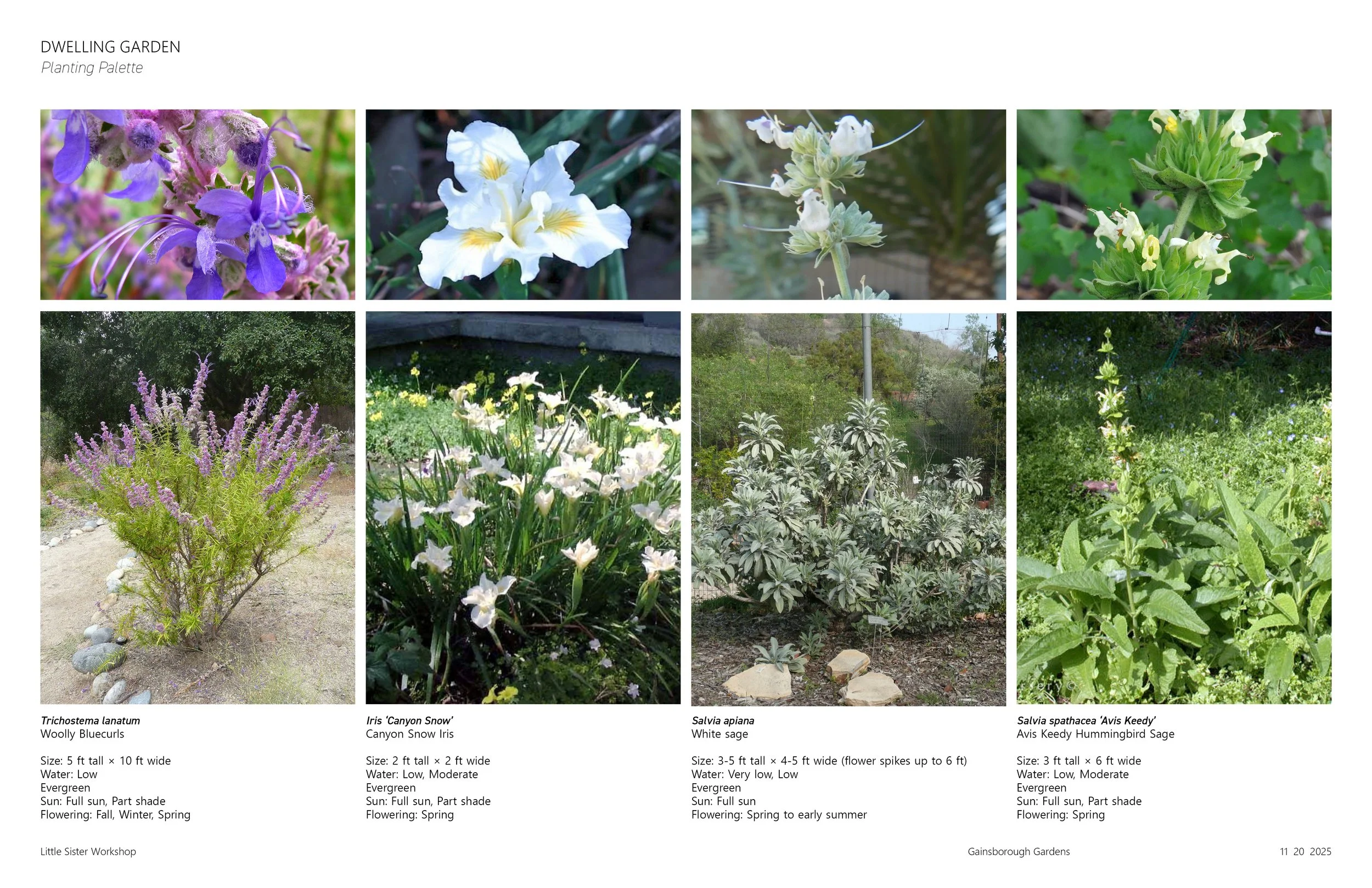 planting pallete 2.jpg