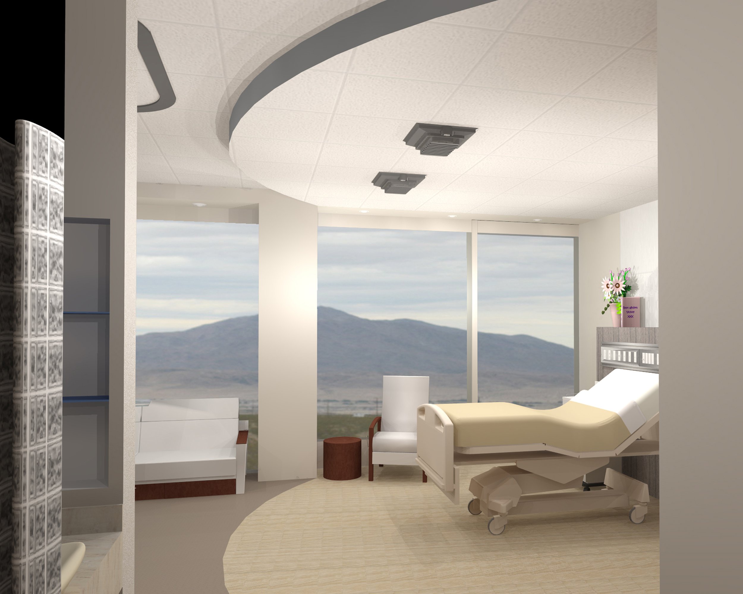 Patient Room with view.jpg