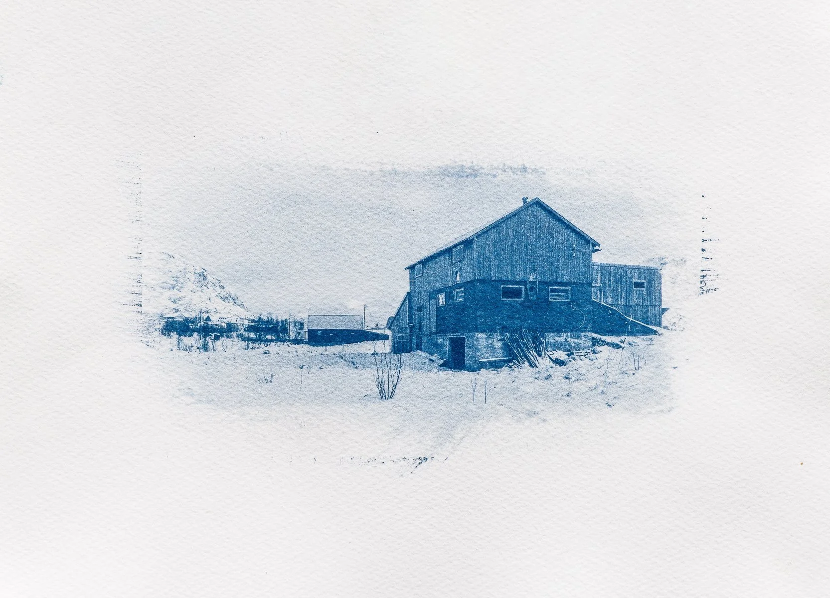 cyanotype