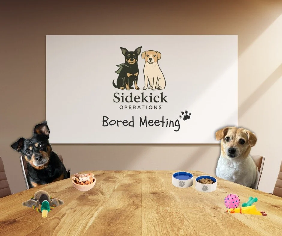 It's National Dog Day so here's a little peek into the recent Sidekick Operations &quot;Bored Meeting&quot; with my two sidekicks:

Agenda
1. Treat distribution 🍪
2. Delegating the fetch tasks to humans 🏈
3. Nap schedule 💤
4. Who squeaked a toy du