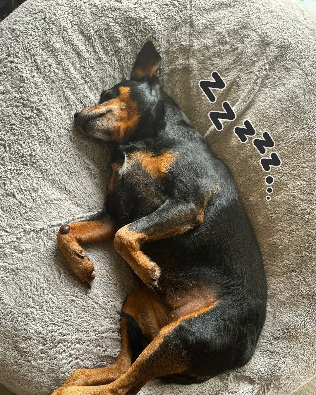 It&rsquo;s been a little quiet around here lately and for good reason! I&rsquo;ve been in the middle of a big move and diving into an exciting new project with a client. 🏡📦

It's officially Fall now 😳(where did the year go?!) And the start of this