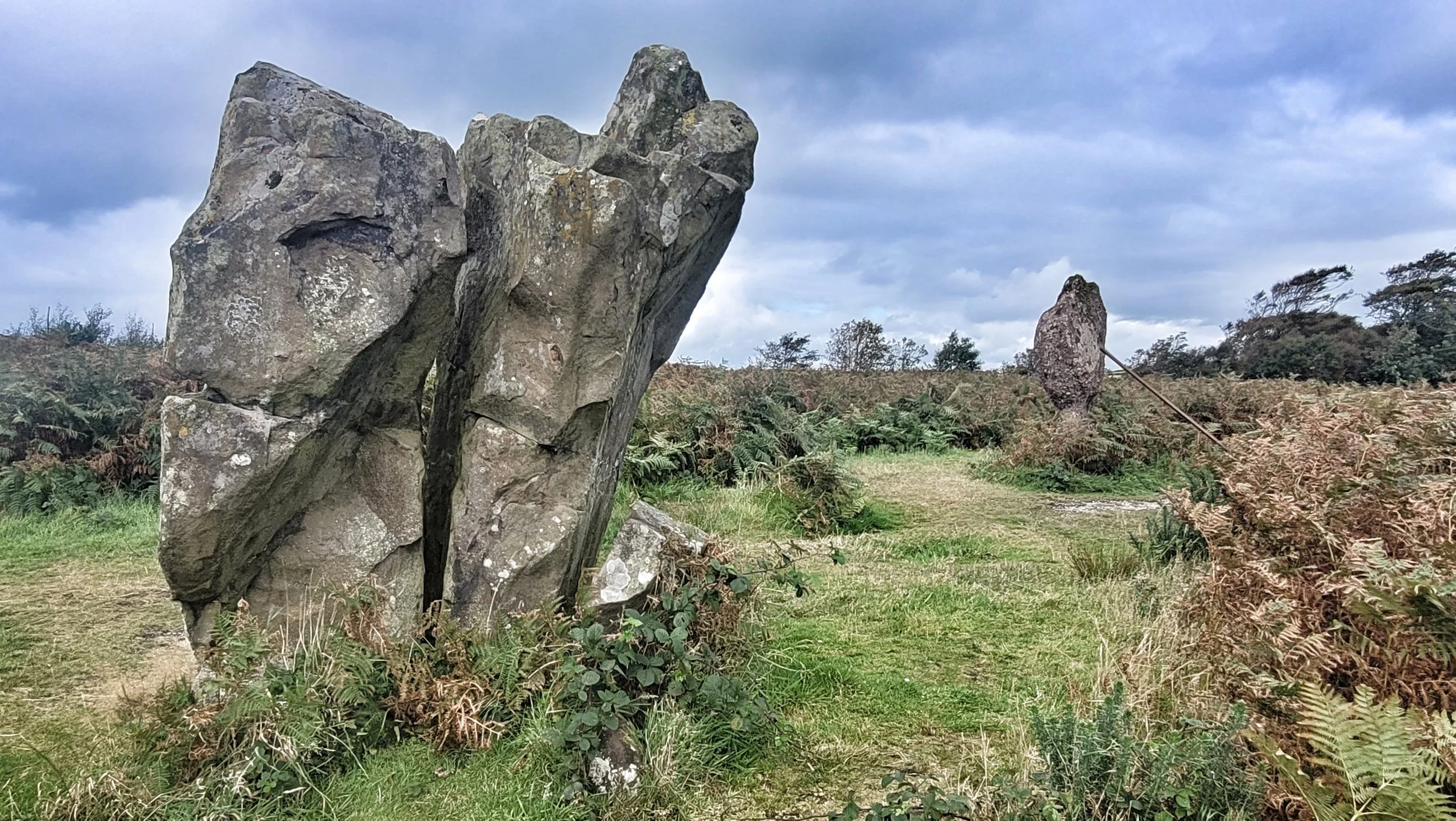 Large weathered standing stones in grassy area with cloudy sky, some bushes and trees in background.