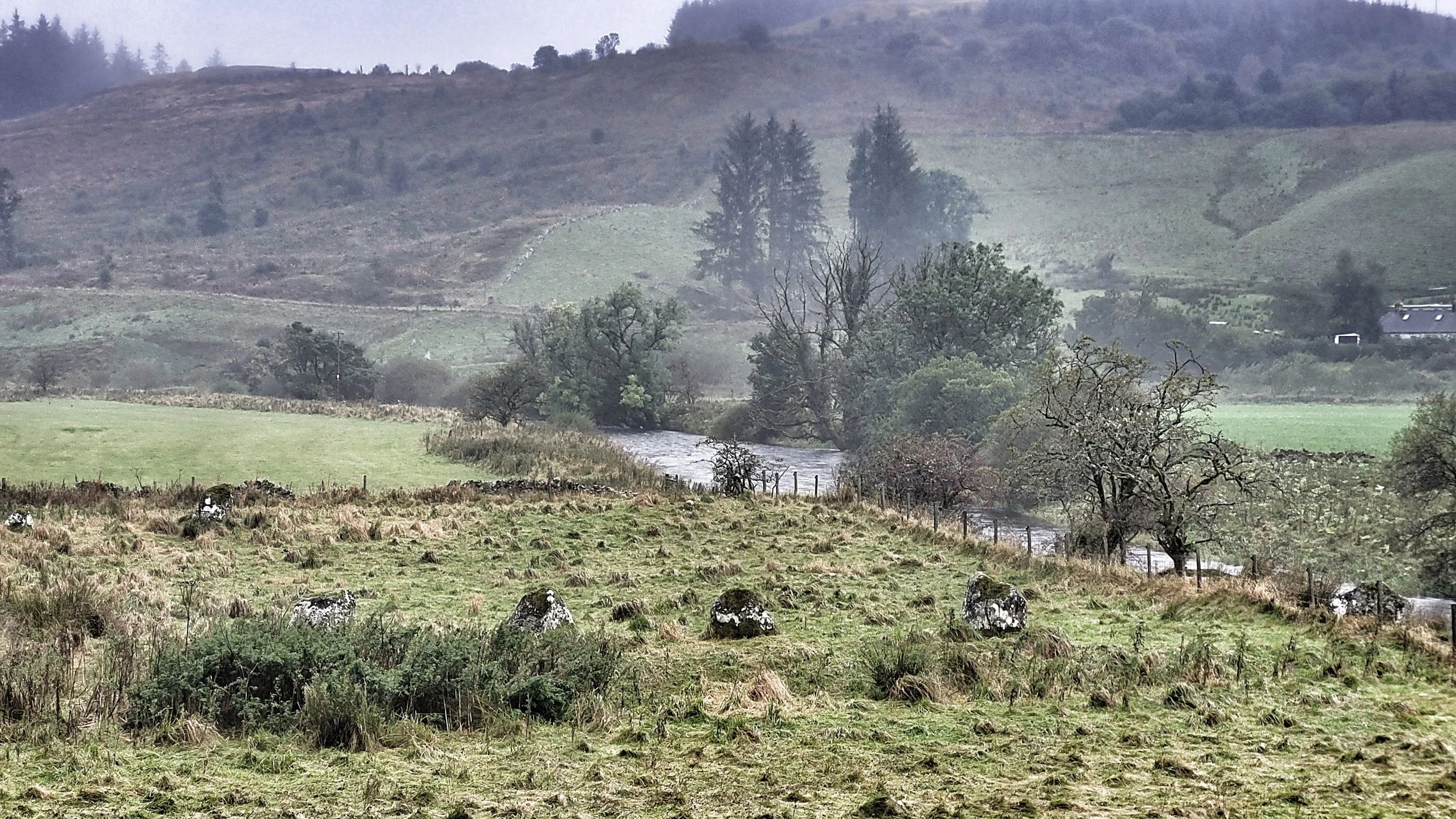 Landscape of green fields with rocks, trees, and a river, with hills and forest in the background on a cloudy day.