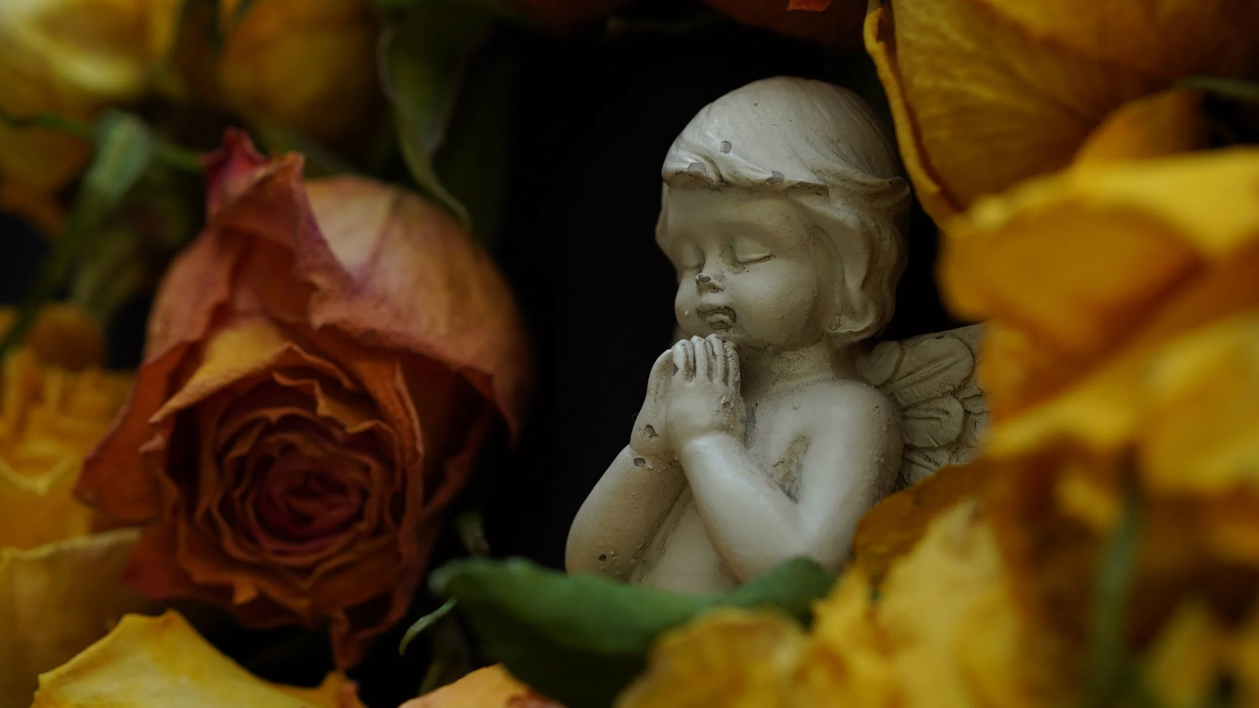 Understanding Funeral Packages: Hidden Costs to Watch For.