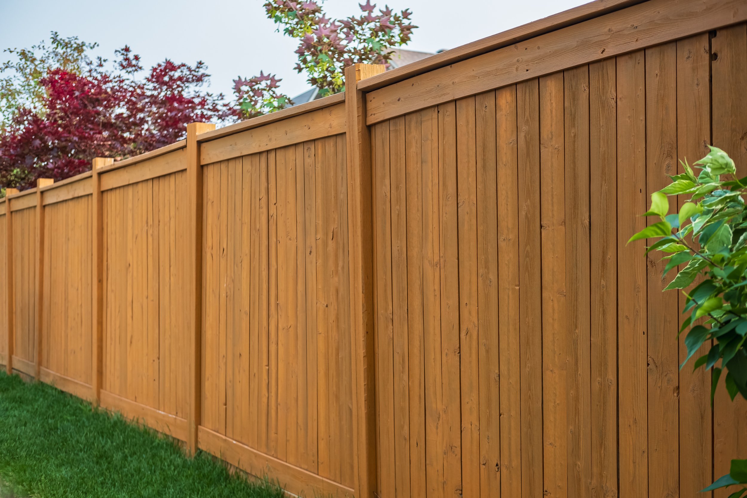 PhoenixFence7.jpeg