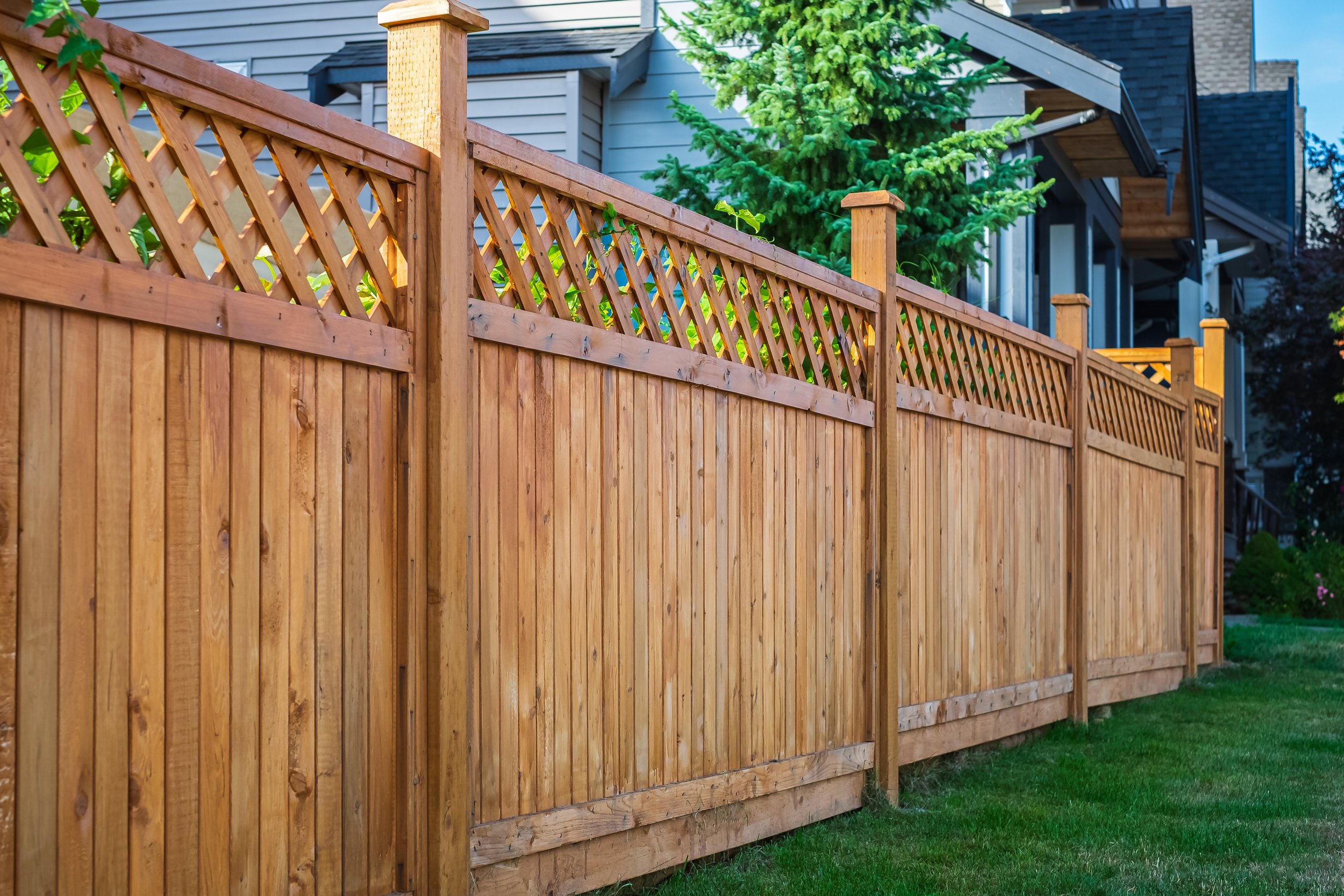 PhoenixFence1.jpeg