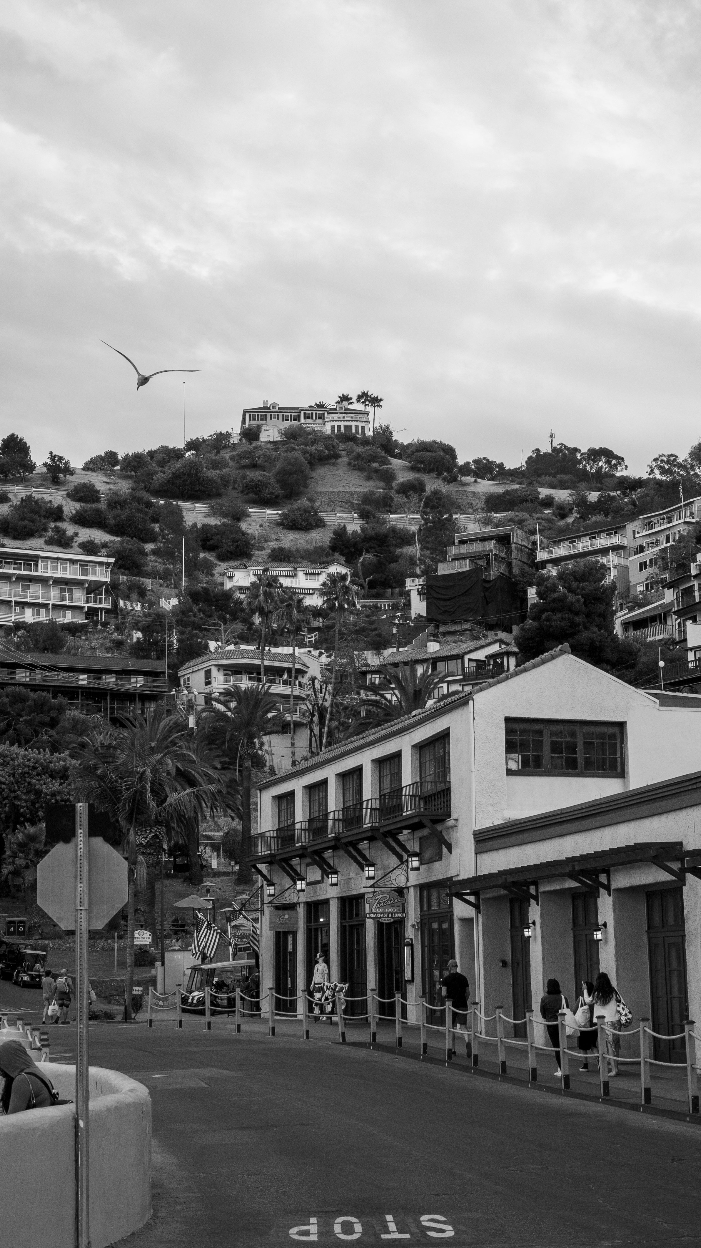 DSC01417-2.JPG