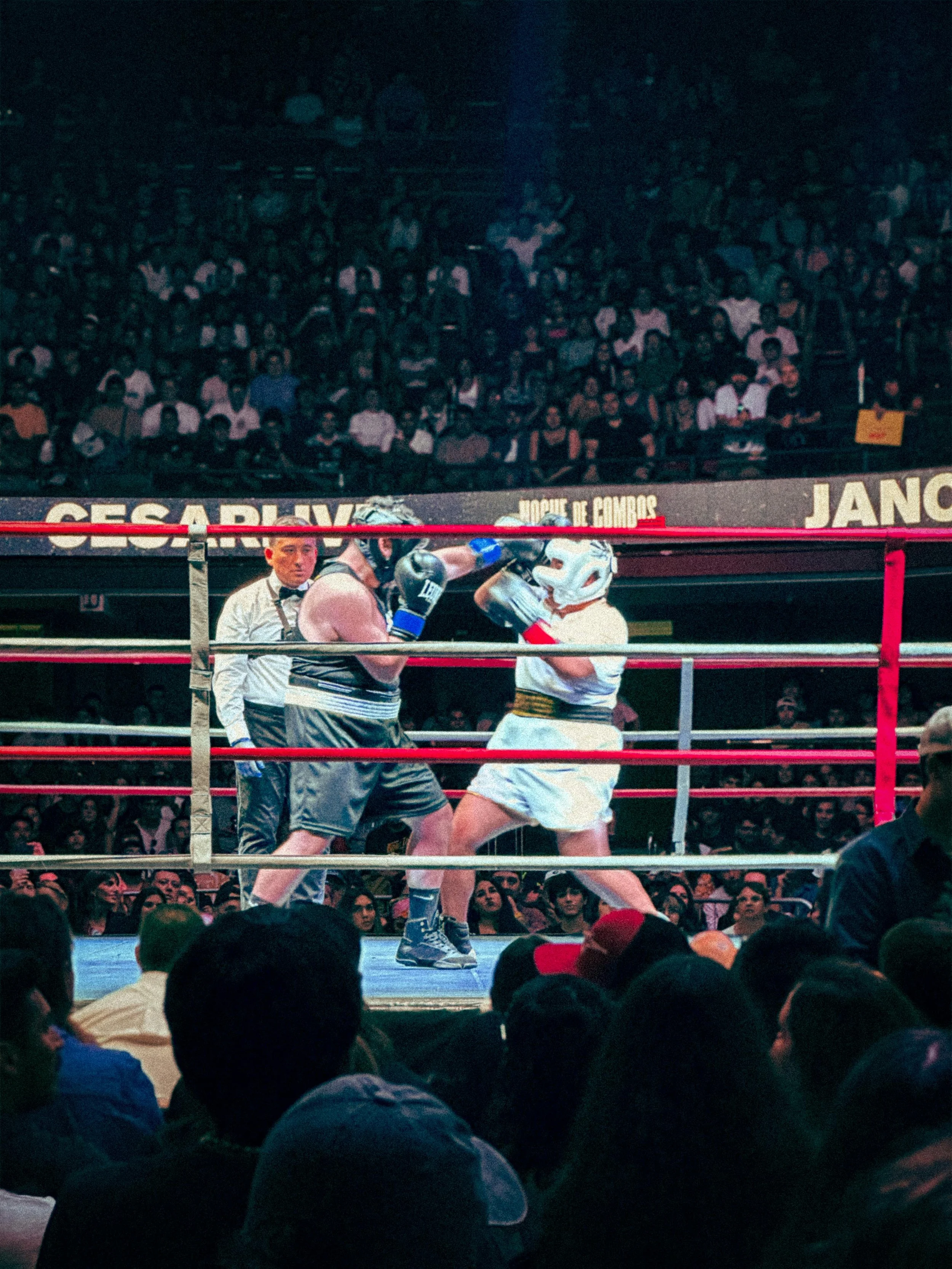 Where Boxing Meets Community: Inside IVB’s City-First Approach