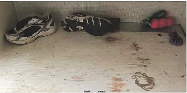 FIGURE 3b. Tomato’s bathroom stash