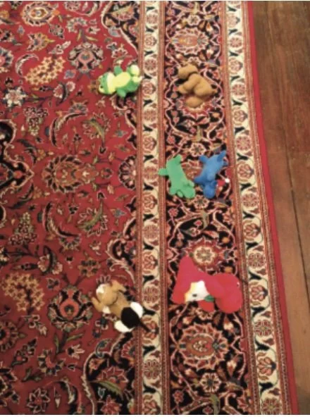 Figure 4b. Robby’s animals, complex.
