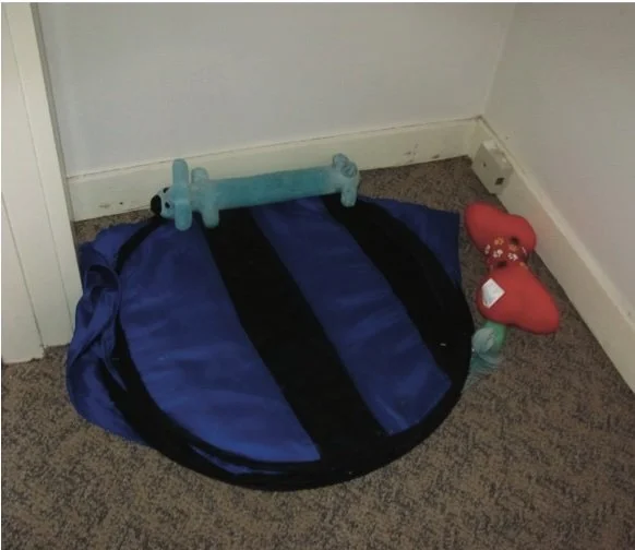 FIGURE 3a. Tomato's bedroom stash