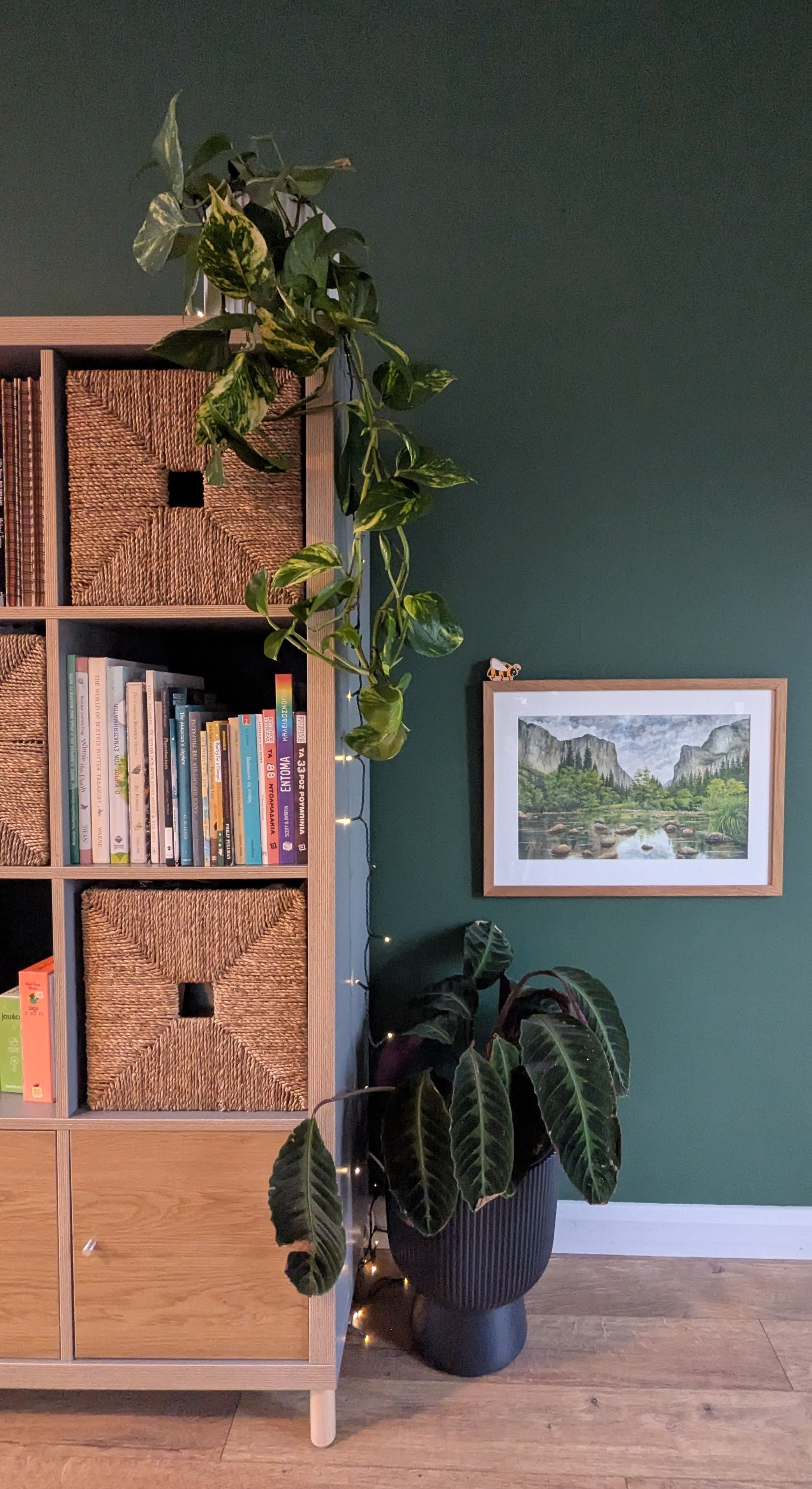 Interior of a room with a green wall, a wooden bookshelf with woven baskets and books, a framed mountain landscape picture, a large potted plant with dark green leaves, and string lights.