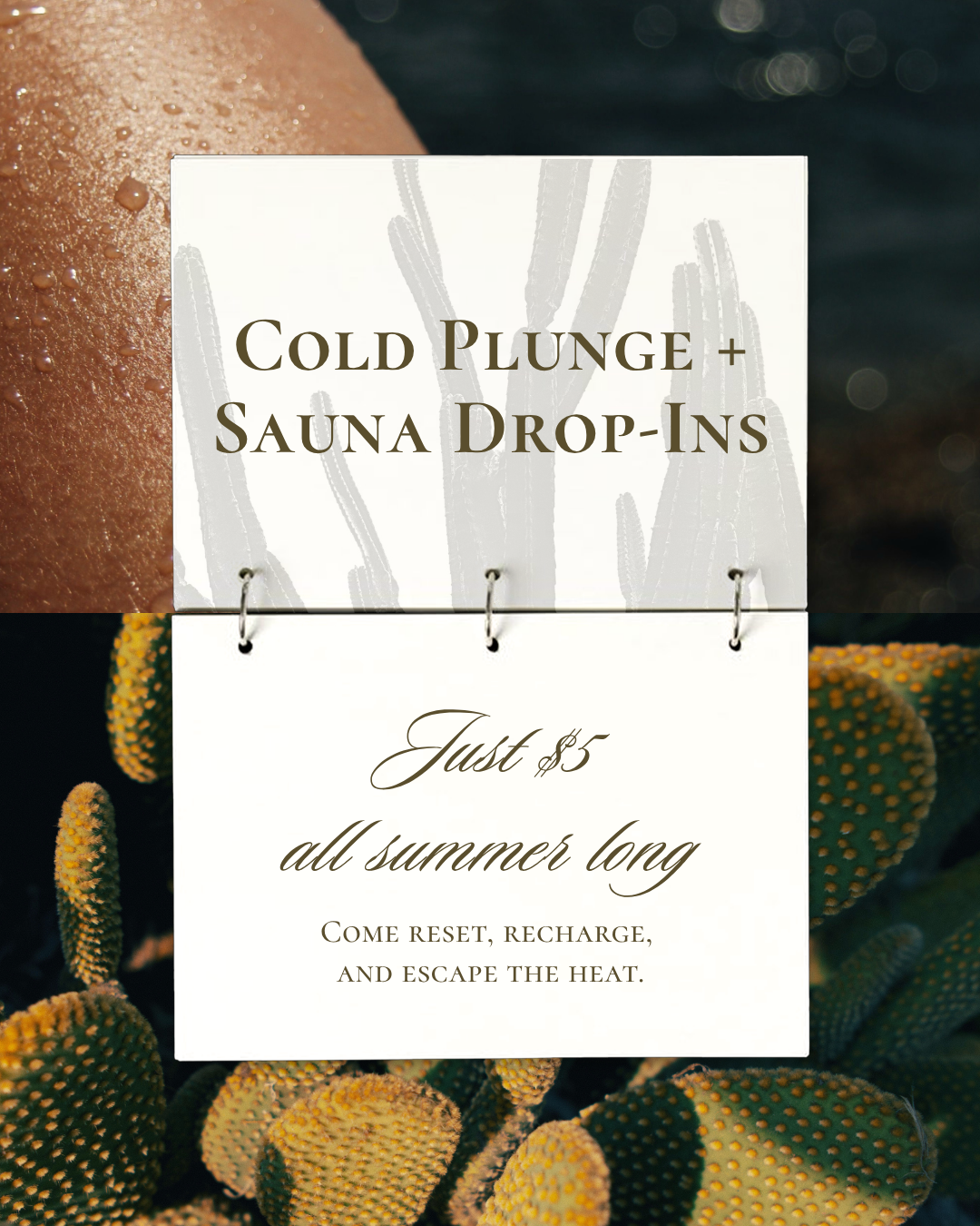 Sauna Instagram Post.png