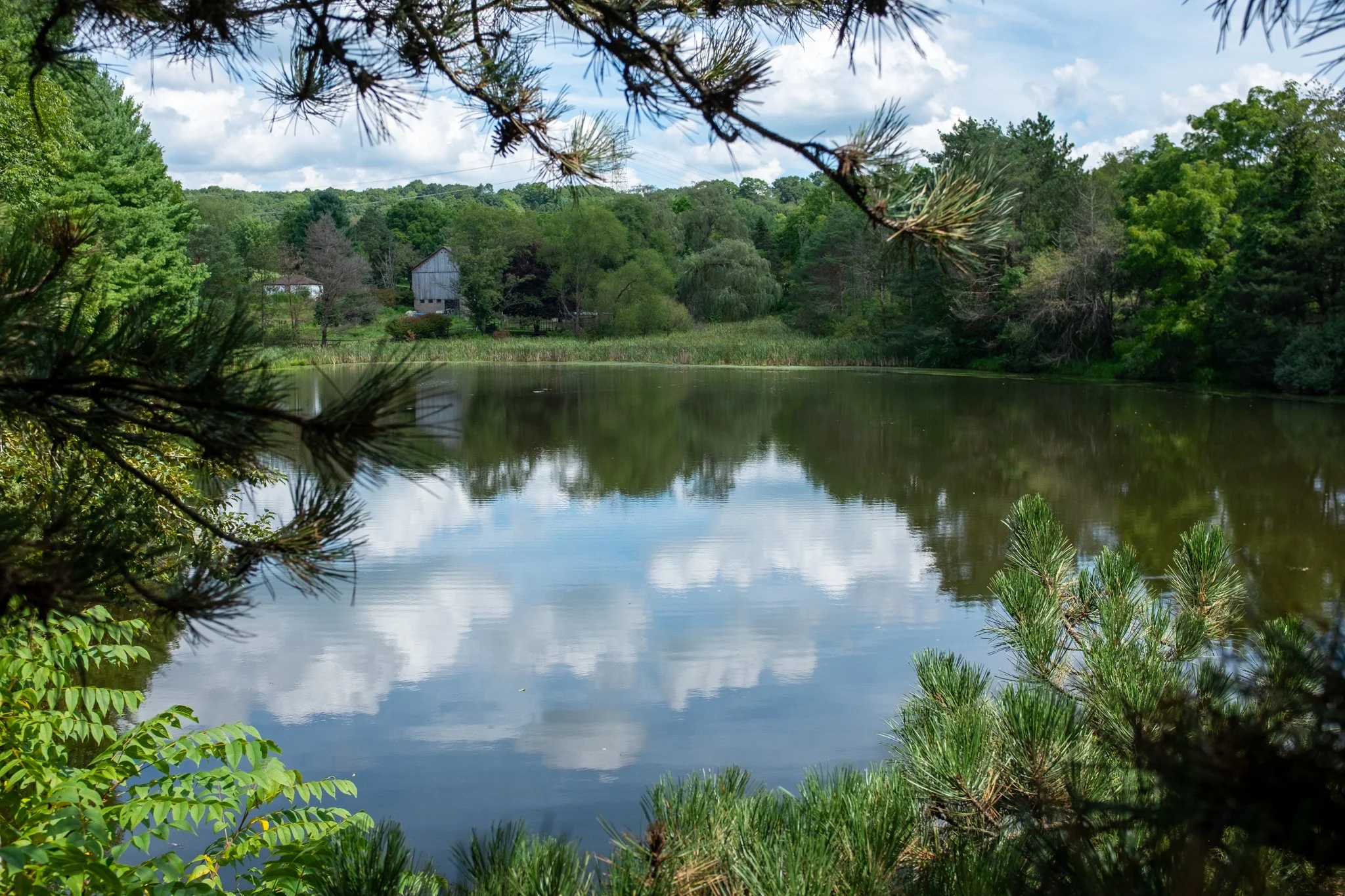 pond shot.jpg