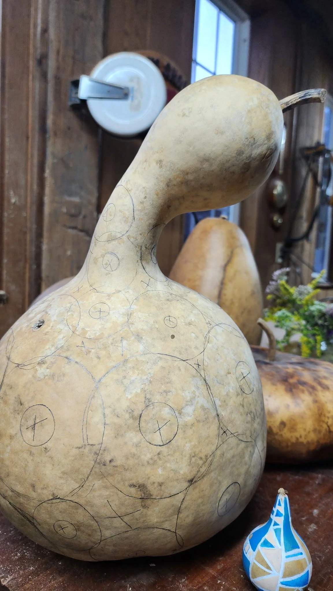 gourd 3.JPG