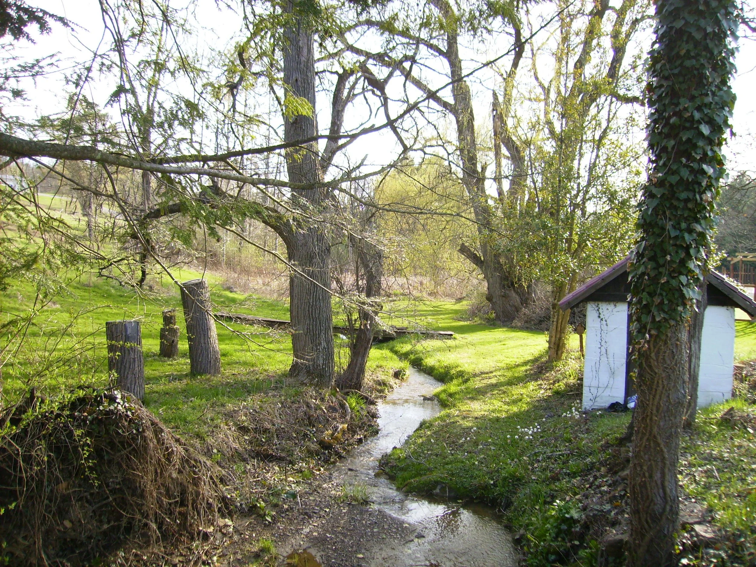 Copy of PICT0158.JPEG