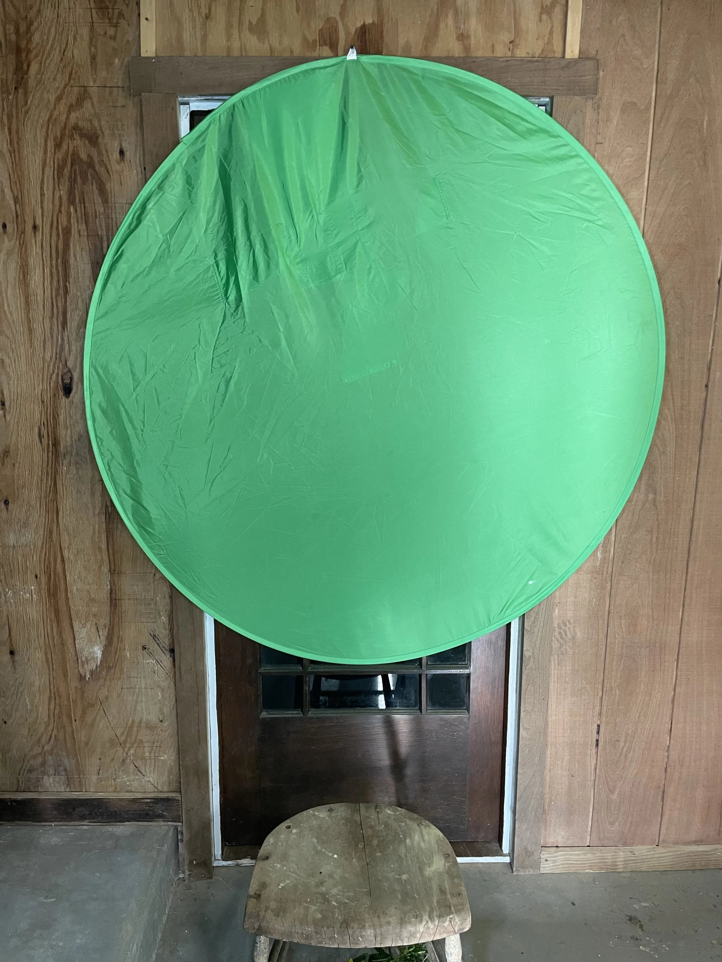16green_portrait_for_u.jpg