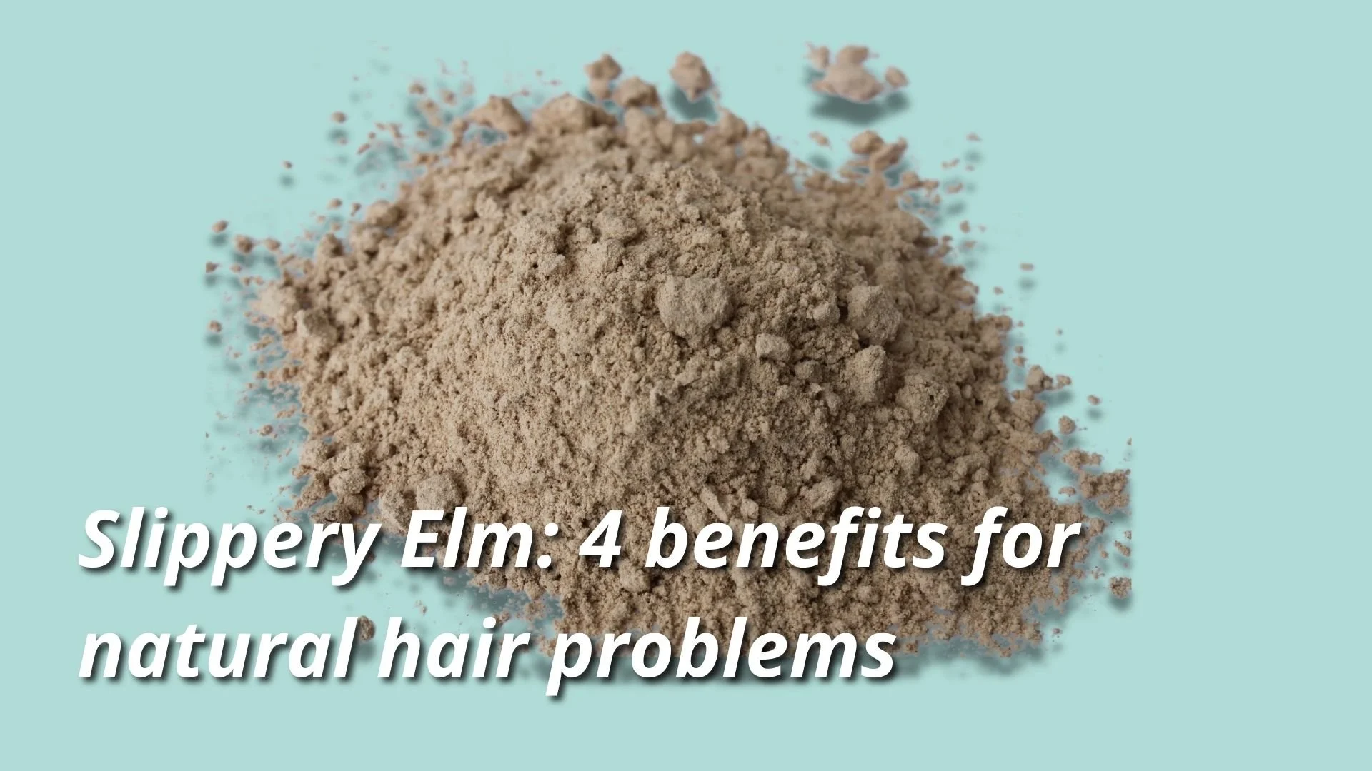 Slippery Elm: 4 Benefits for Natural Hair Problems