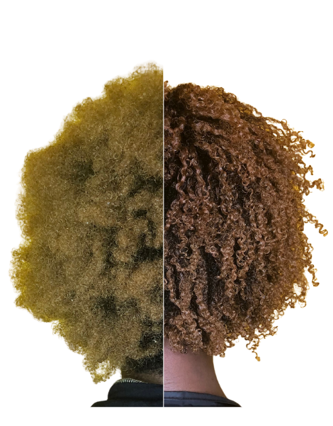 Four Naturals Hair Spa