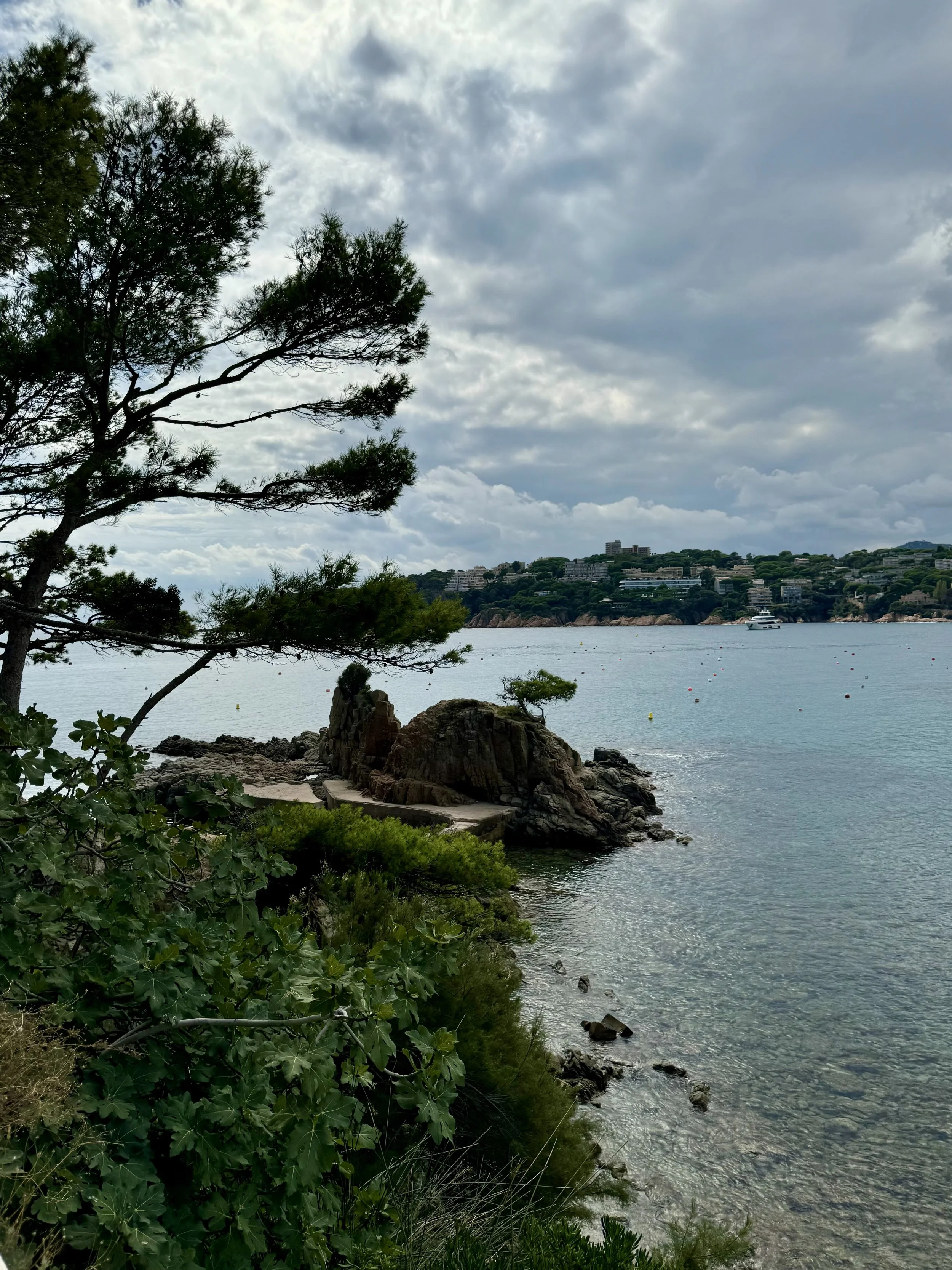 IMG_2060.jpeg