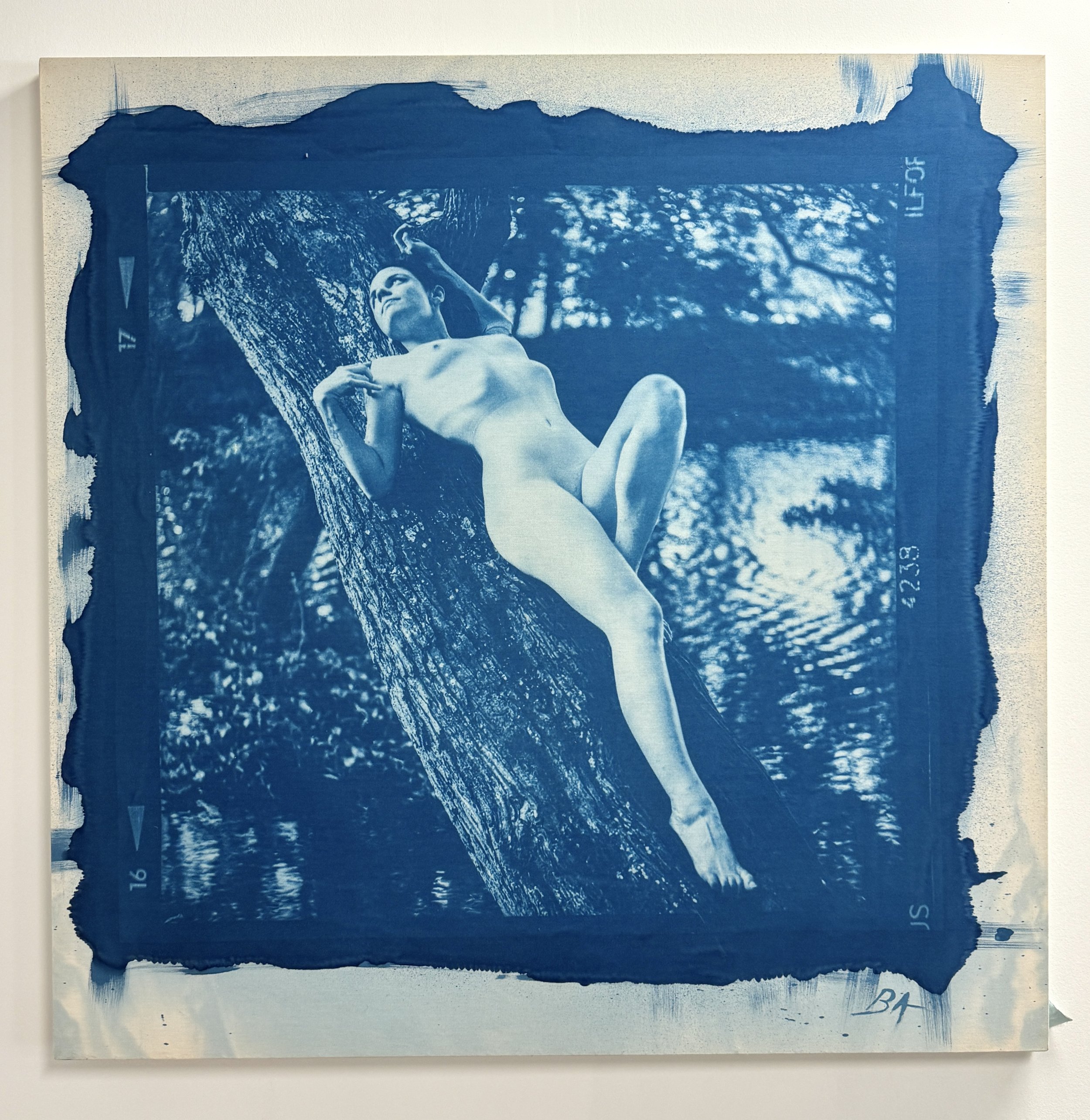 New Orleans Cyanotype, Aleshire Gallery
