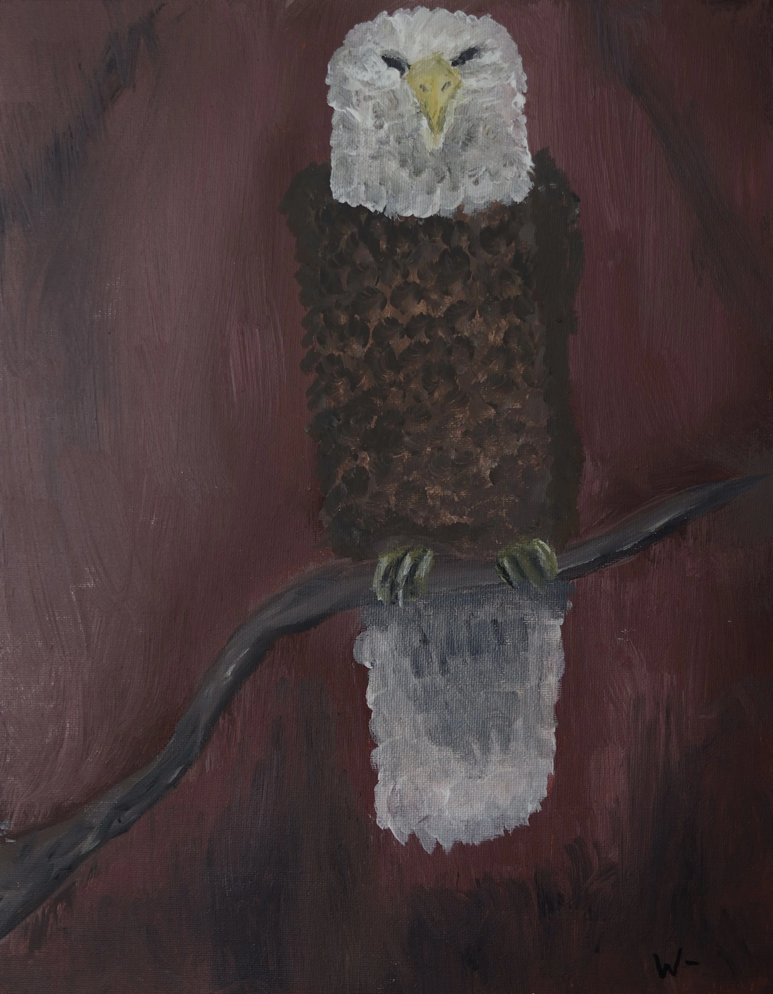 "eagle I"
acrylic on canvas - 
11" x 14" 
2026

$350