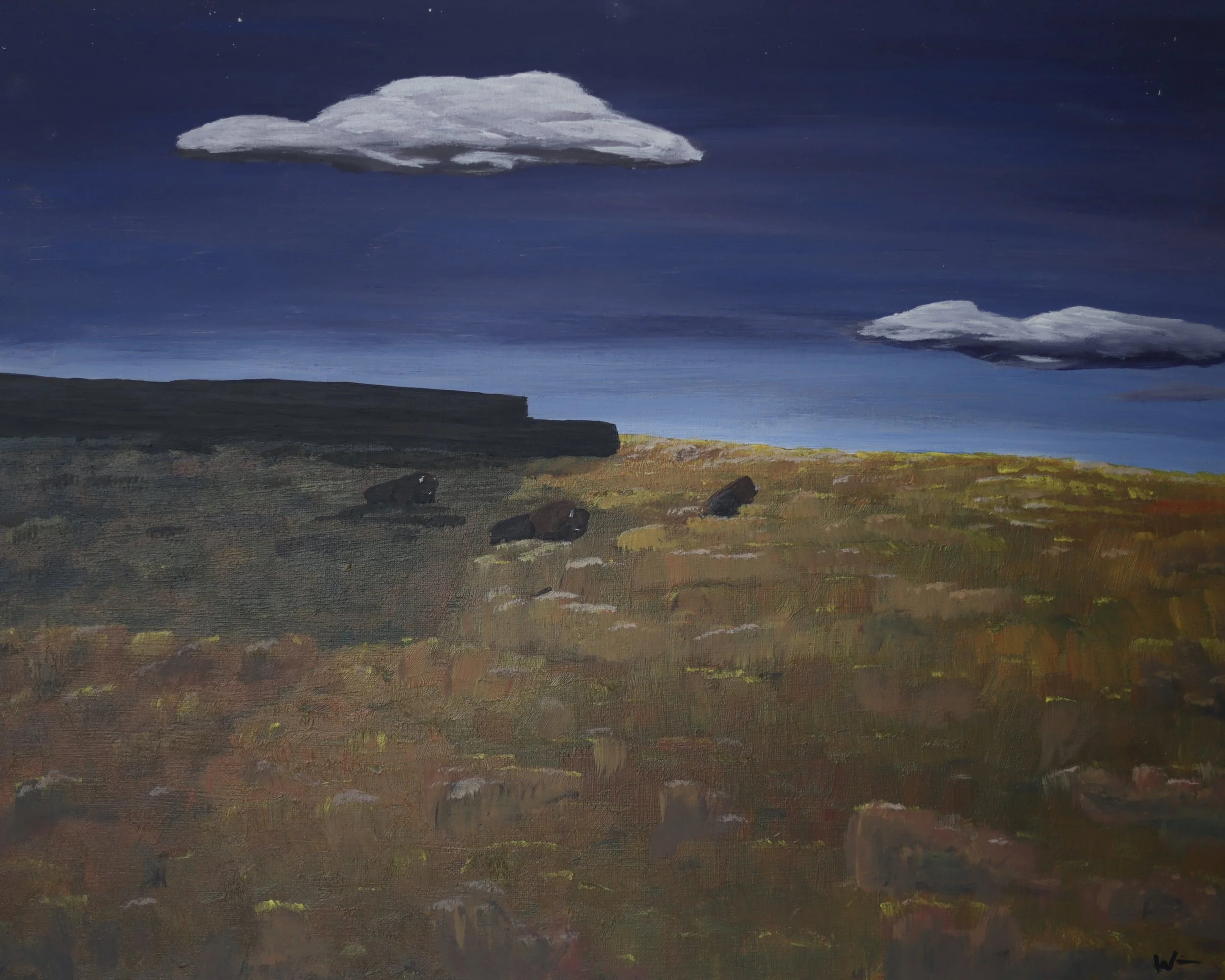 "graze"
acrylic on canvas - 
12" x 16" (41 x 51 cm)
2026

$555