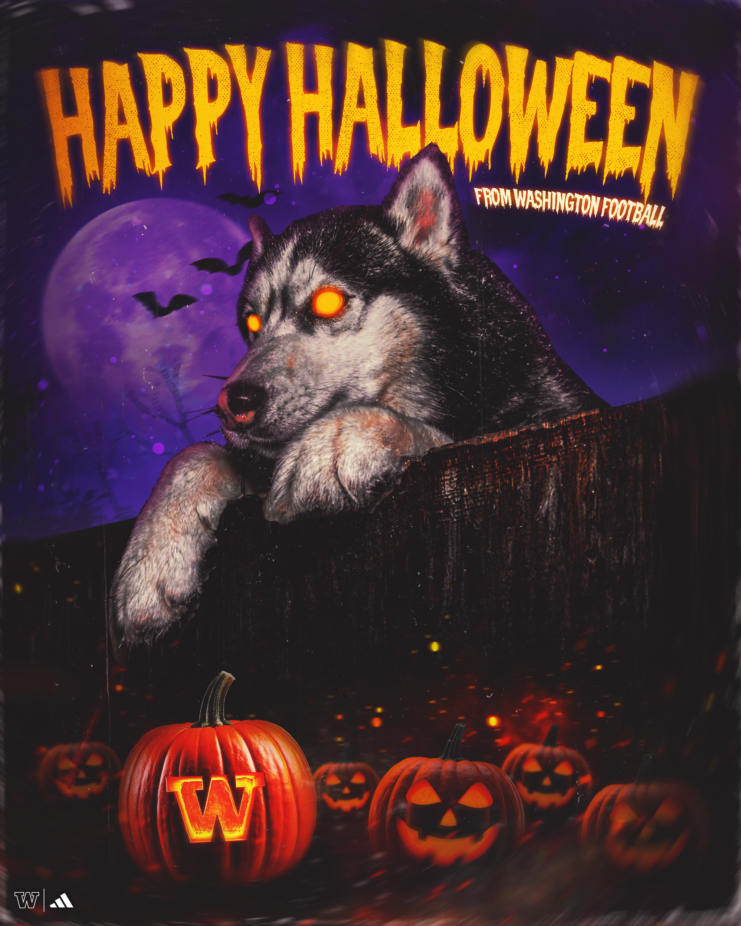A spooky Halloween scene featuring a black and gray husky with glowing orange eyes, resting its head on a dark wooden surface. The background has a purple full moon, bats flying, and dark clouds. Foreground has several glowing carved pumpkins with va
