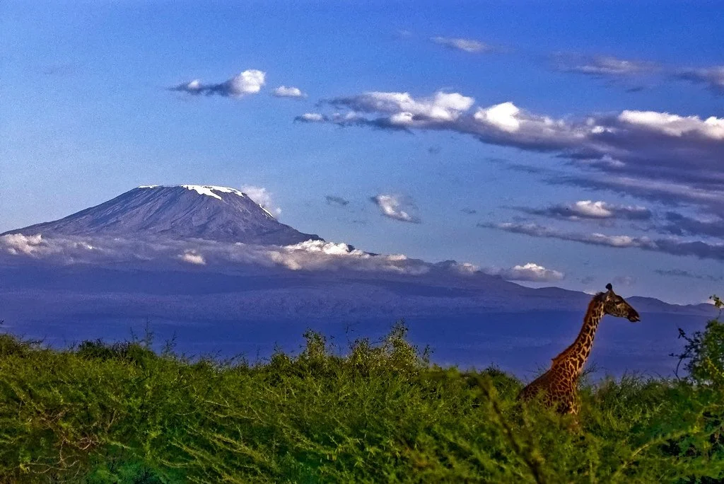 Kilimanjaro Summit Climb