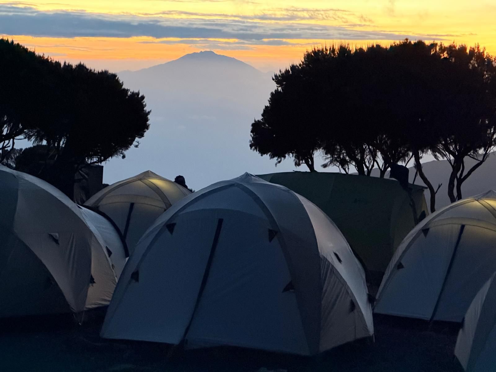 PHOTO-2026-01-12-10-29-14 4.jpg