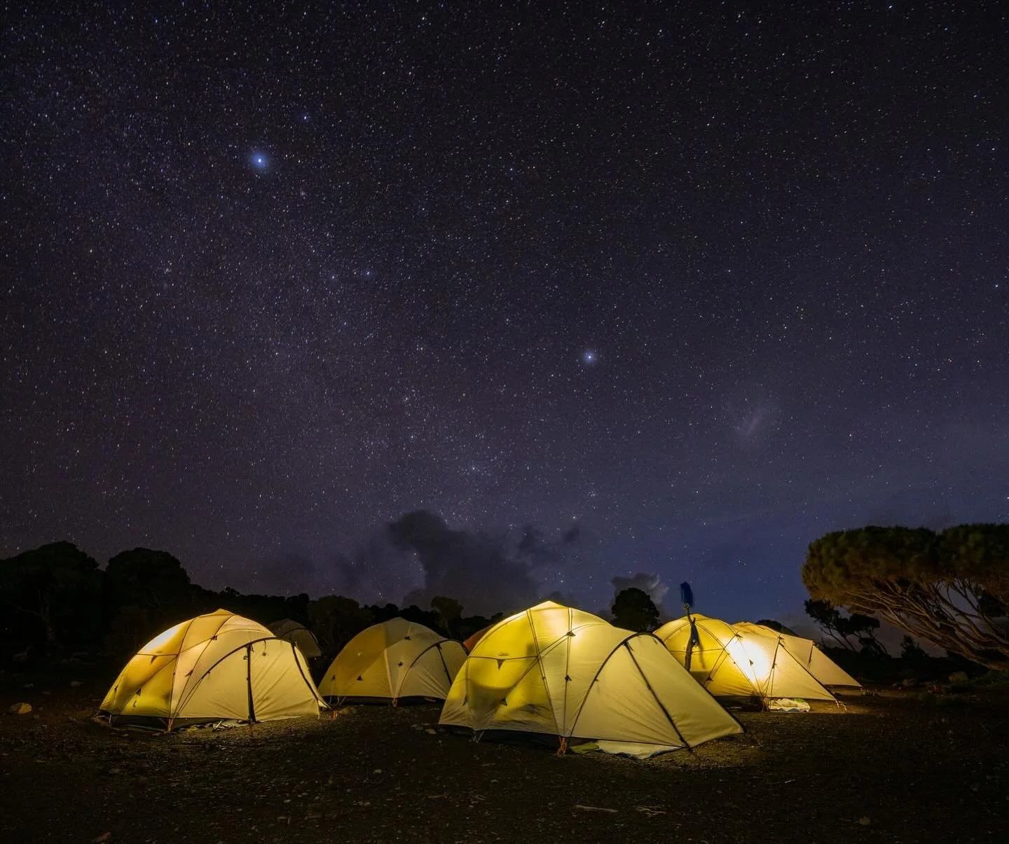 &ldquo;Every experience, from the first moment I landed at Kilimanjaro airport and was whisked to the VIP lounge, to our final team dinner at the world‑class Legendary Lodge, was superbly curated and exceeded all expectations. It seemed as if every n