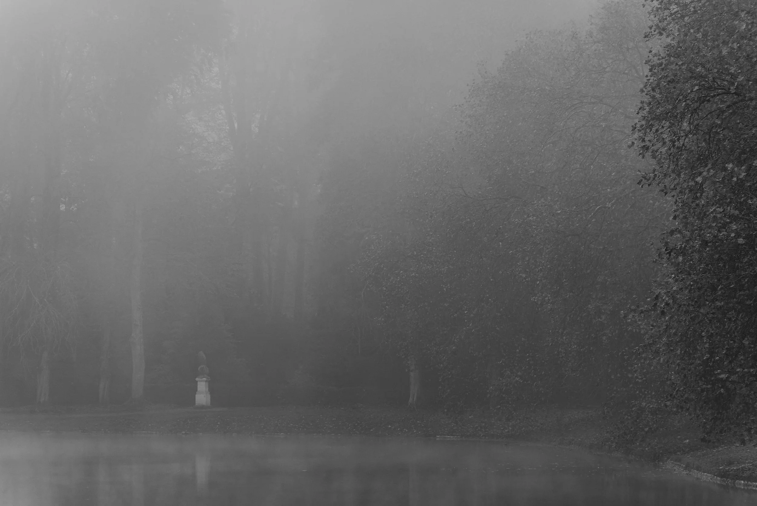 L’Etang aux Carpes Fontainebleau, 2021.jpg