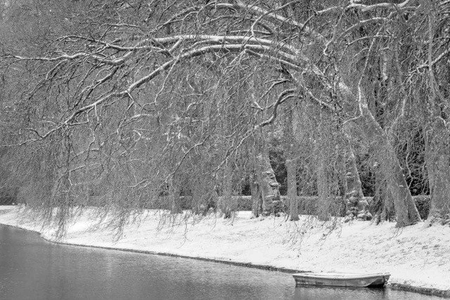 thumbnail__DSC9663-Enhanced-NR-Edit-BW.jpg